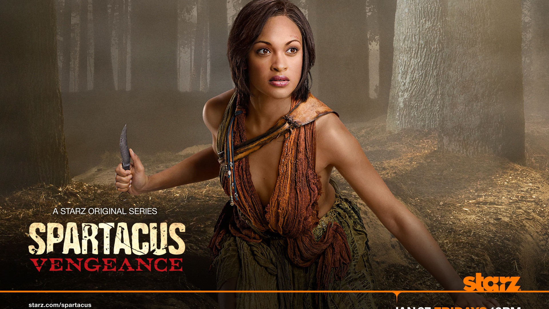 Spartacus: Vengeance HD Wallpaper #5 - 1920x1080