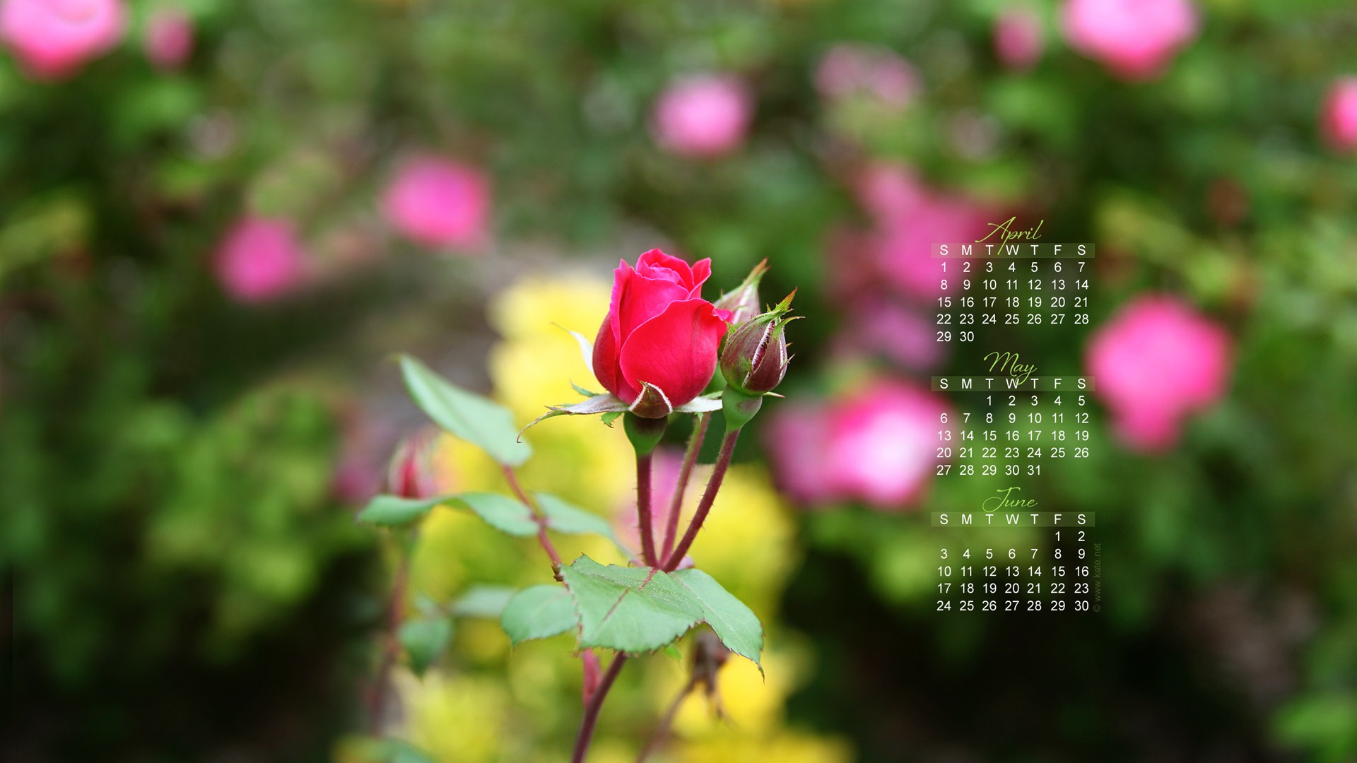 2012年5月 月曆壁紙(一) #12 - 1920x1080