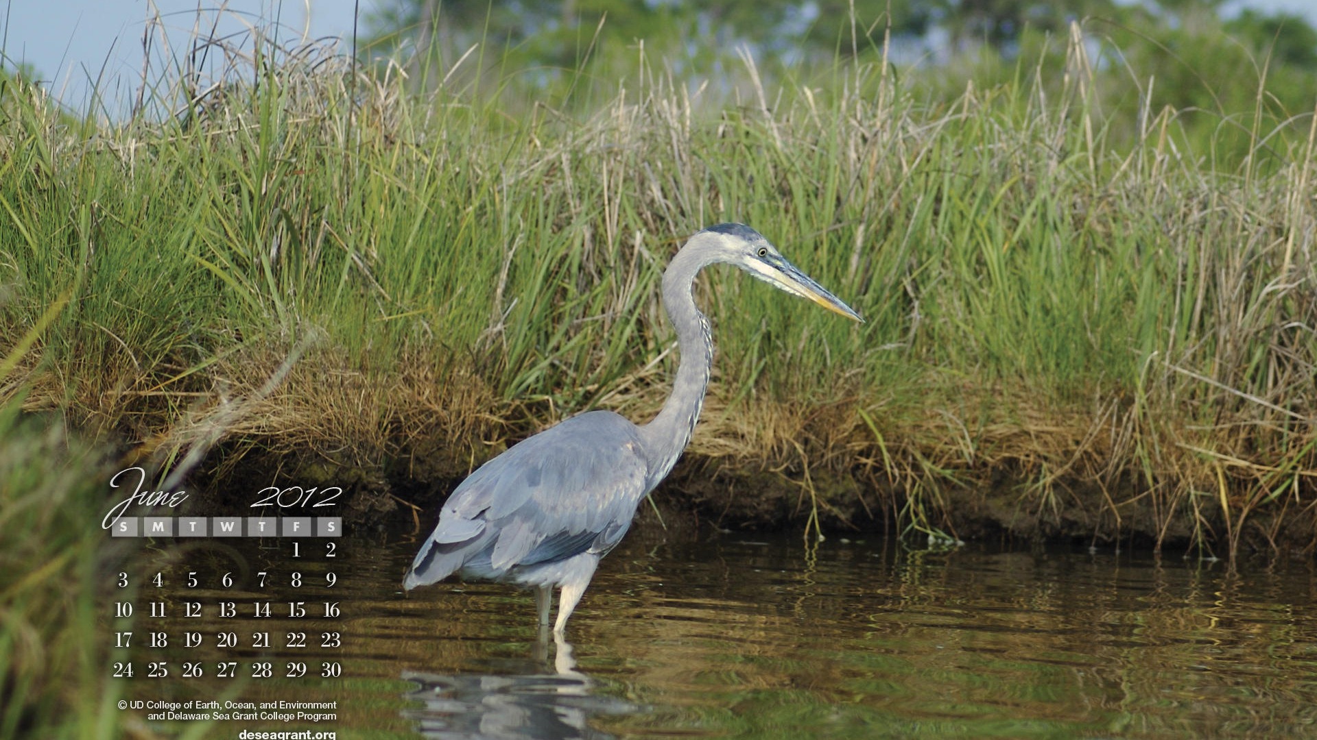 2012年6月 月历壁纸(一)10 - 1920x1080