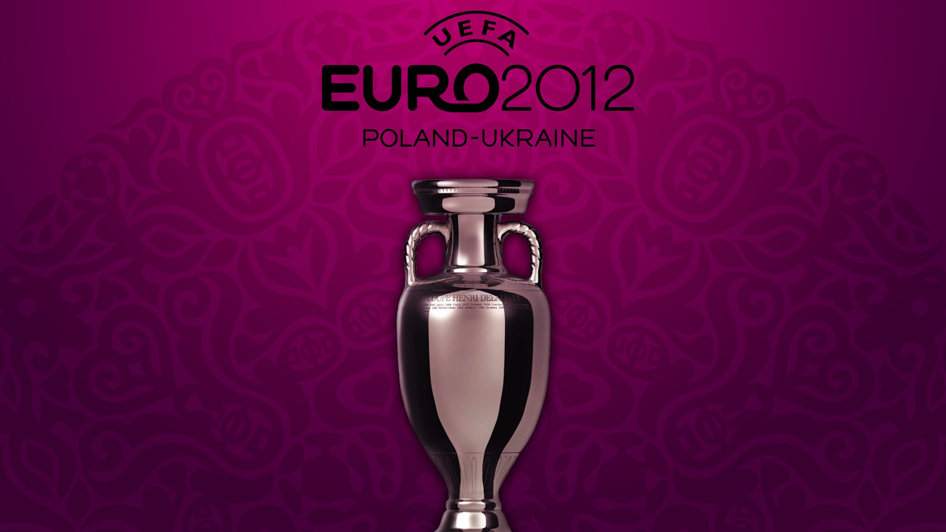 UEFA EURO 2012年歐錦賽高清壁紙(二) #16 - 1920x1080