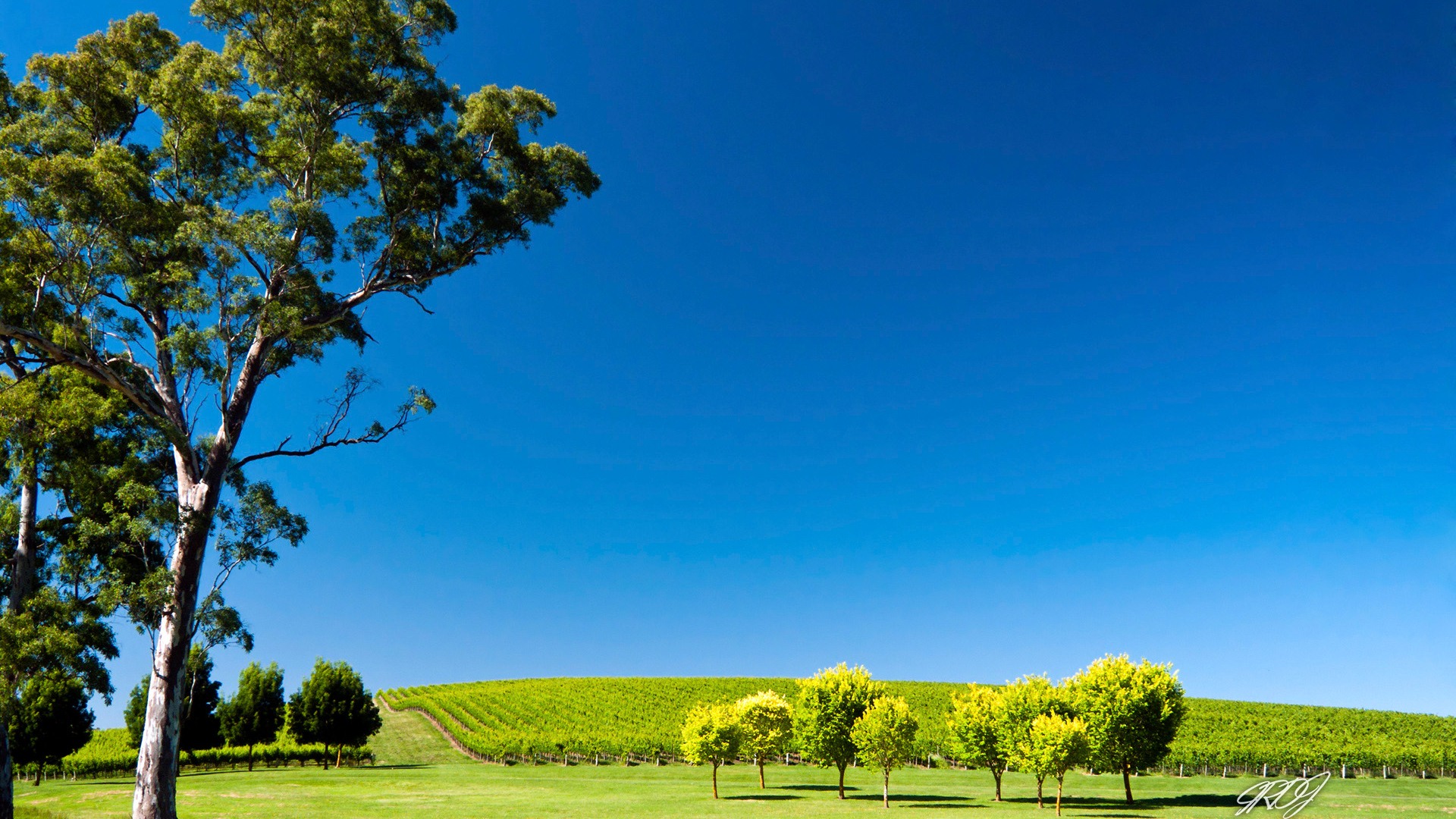 Hermosos paisajes de Australia fondos de pantalla de alta definición #8 - 1920x1080