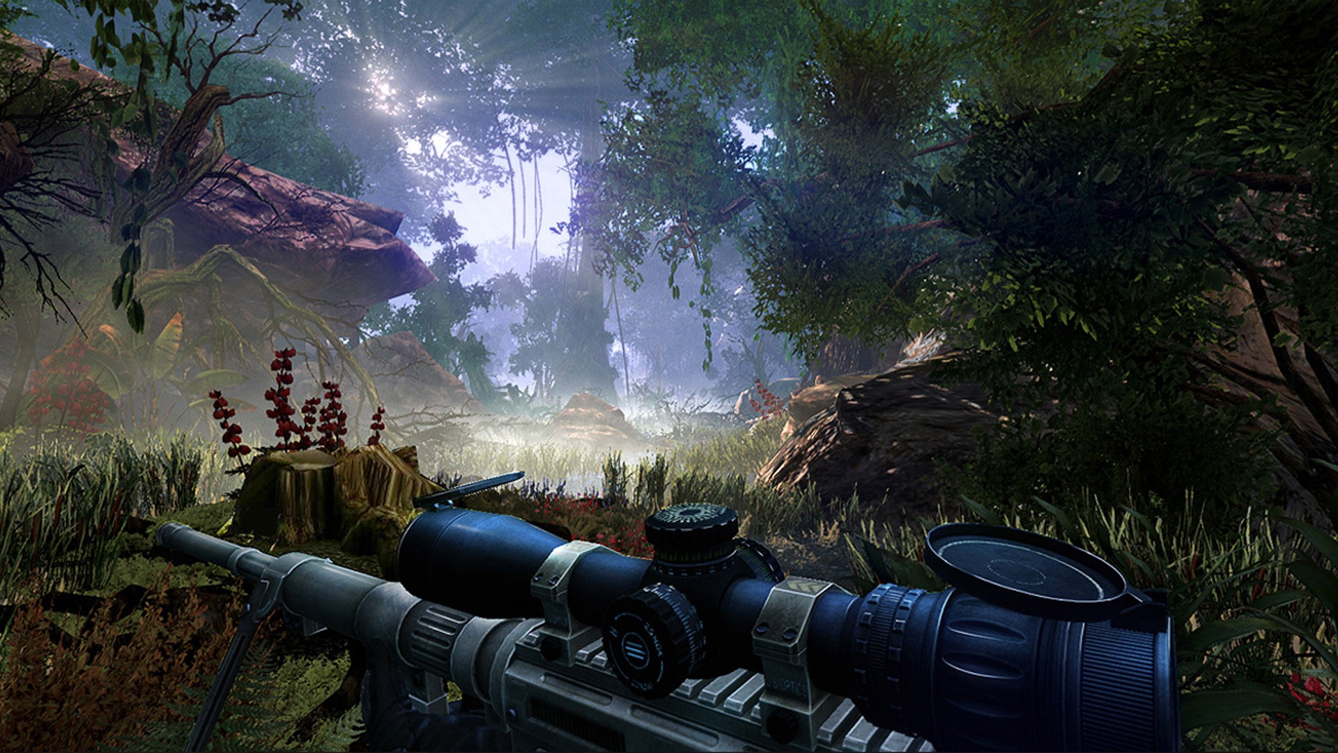 Sniper: Ghost Warrior 2 狙击手：幽灵战士2 高清壁纸3 - 1920x1080