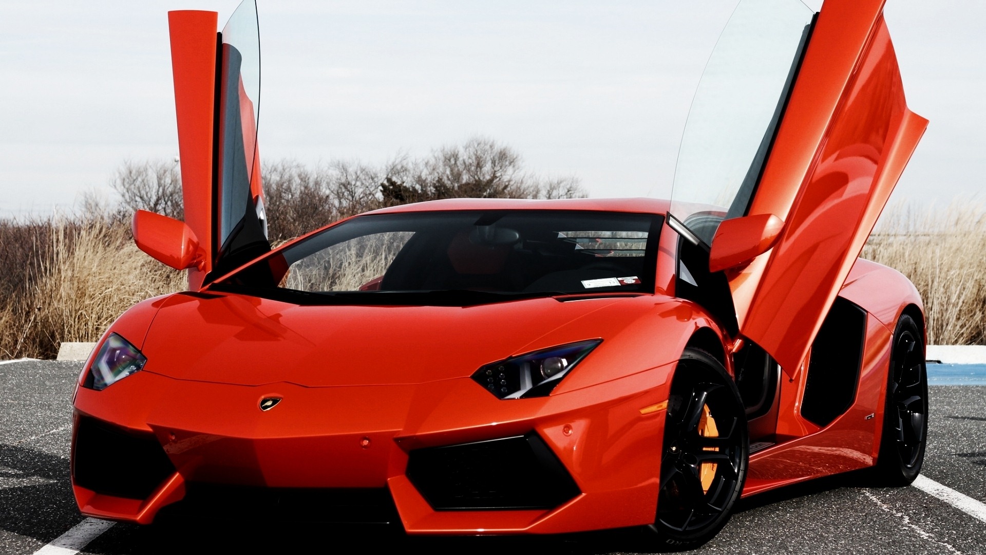 2012 Lamborghini Aventador LP700-4 蘭博基尼高清壁紙 #23 - 1920x1080