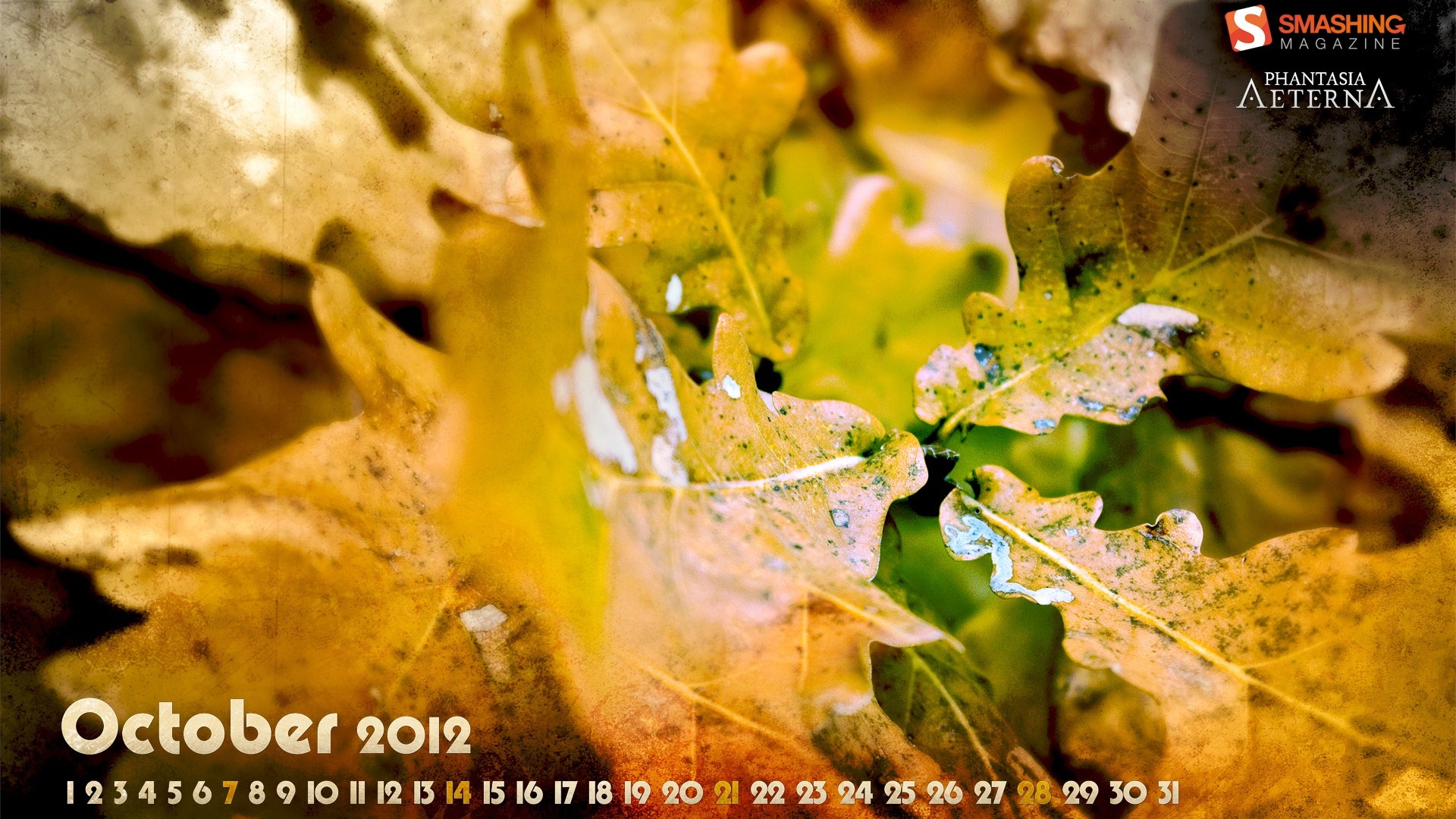 Octobre 2012 Calendar Wallpaper (1) #5 - 1920x1080