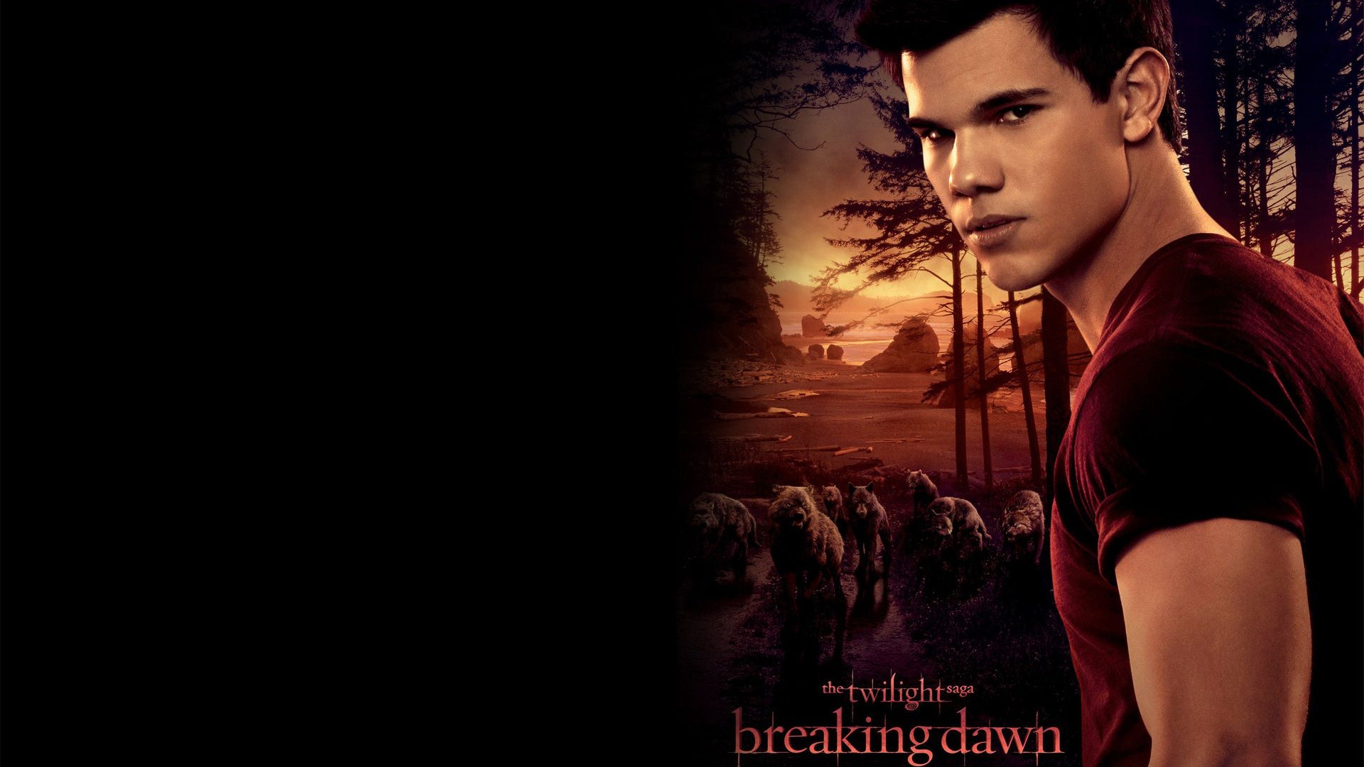 The Twilight Saga: Breaking Dawn 暮光之城4：破晓 高清壁纸29 - 1920x1080