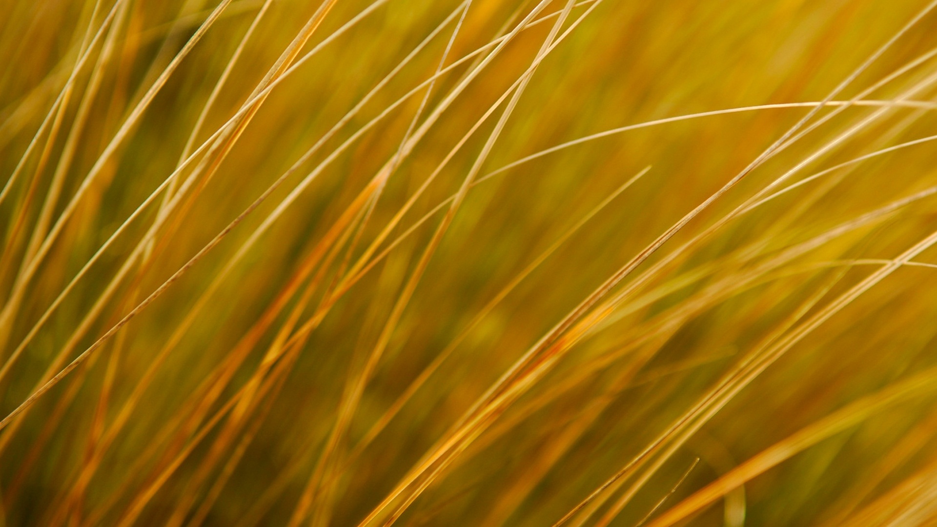 Windows 8 RP版 官方高清壁紙 #9 - 1920x1080