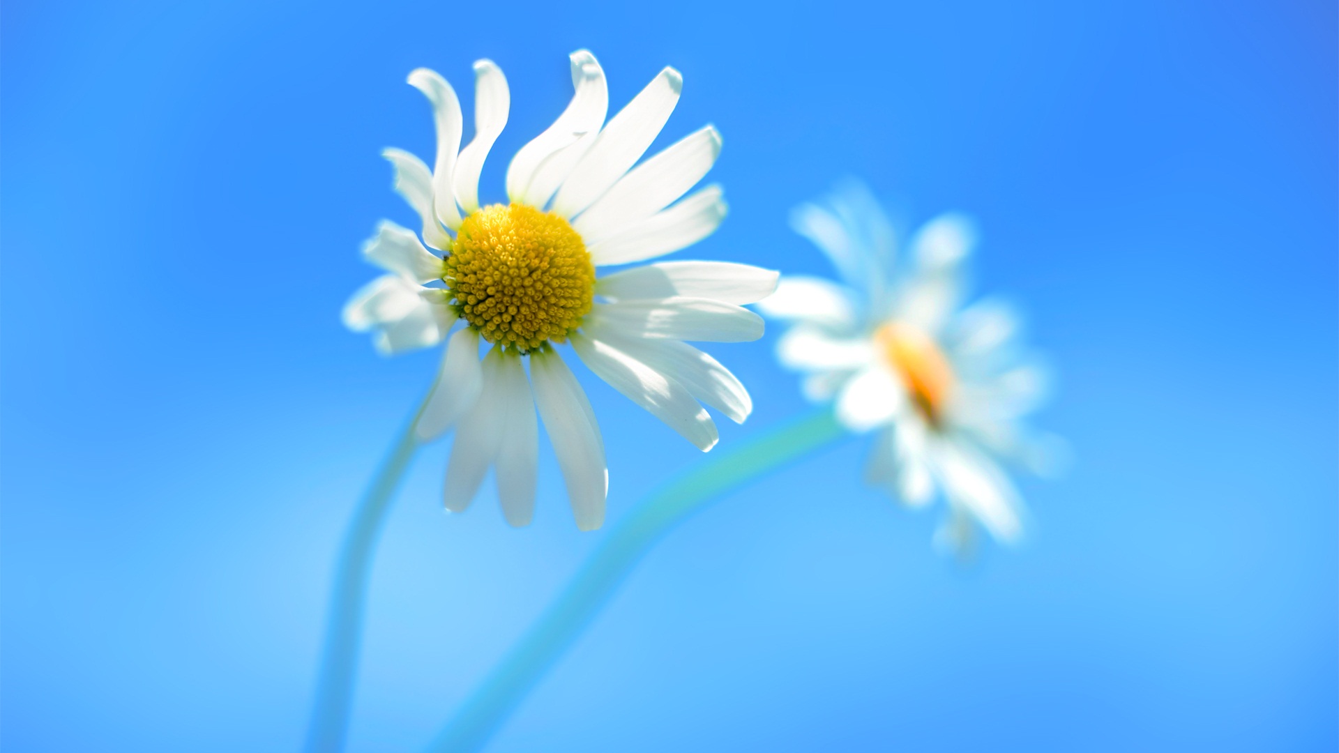 Windows 8 RTM版 官方高清壁紙 #1 - 1920x1080