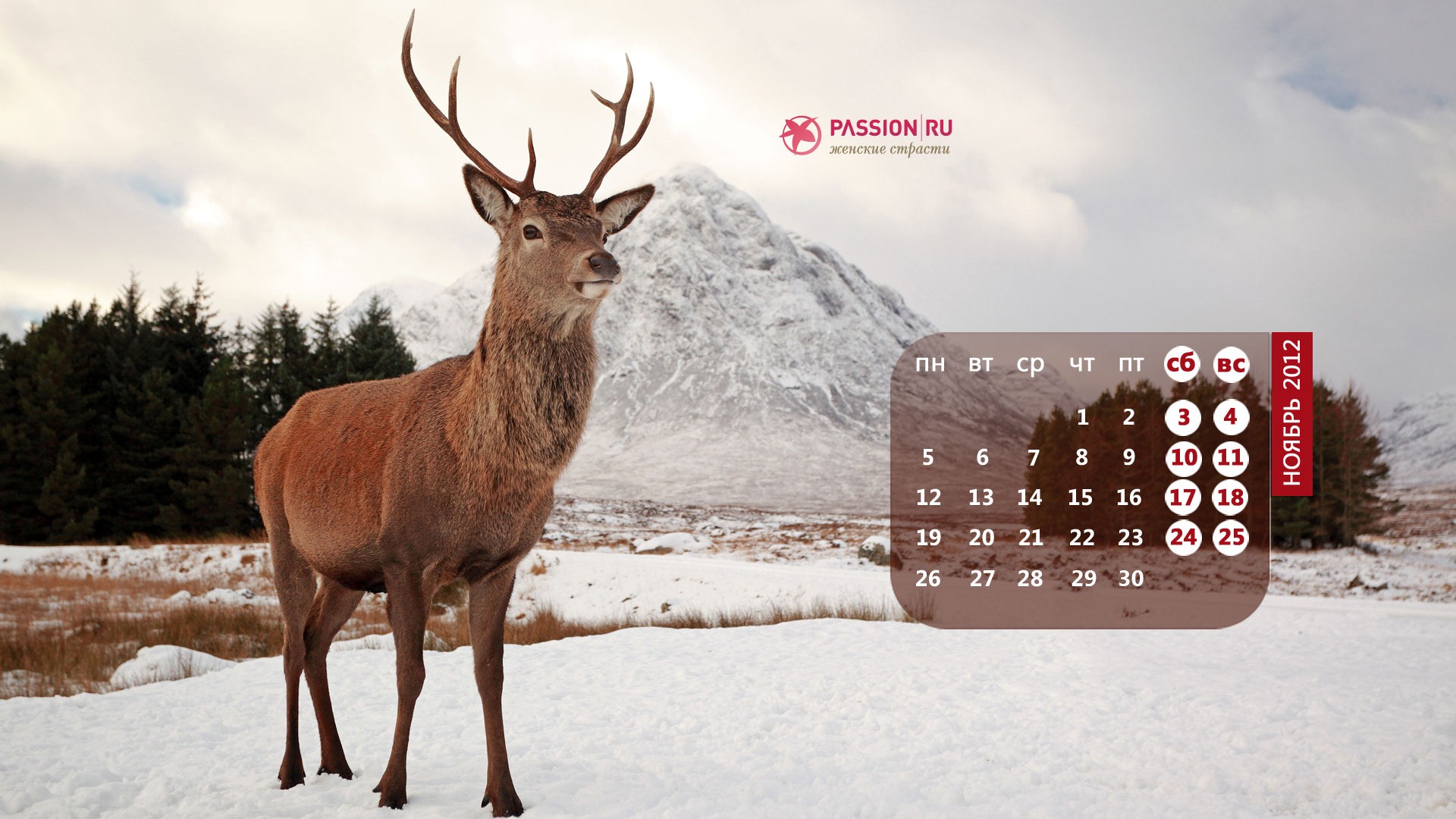 November 2012 Kalender Wallpaper (2) #17 - 1920x1080