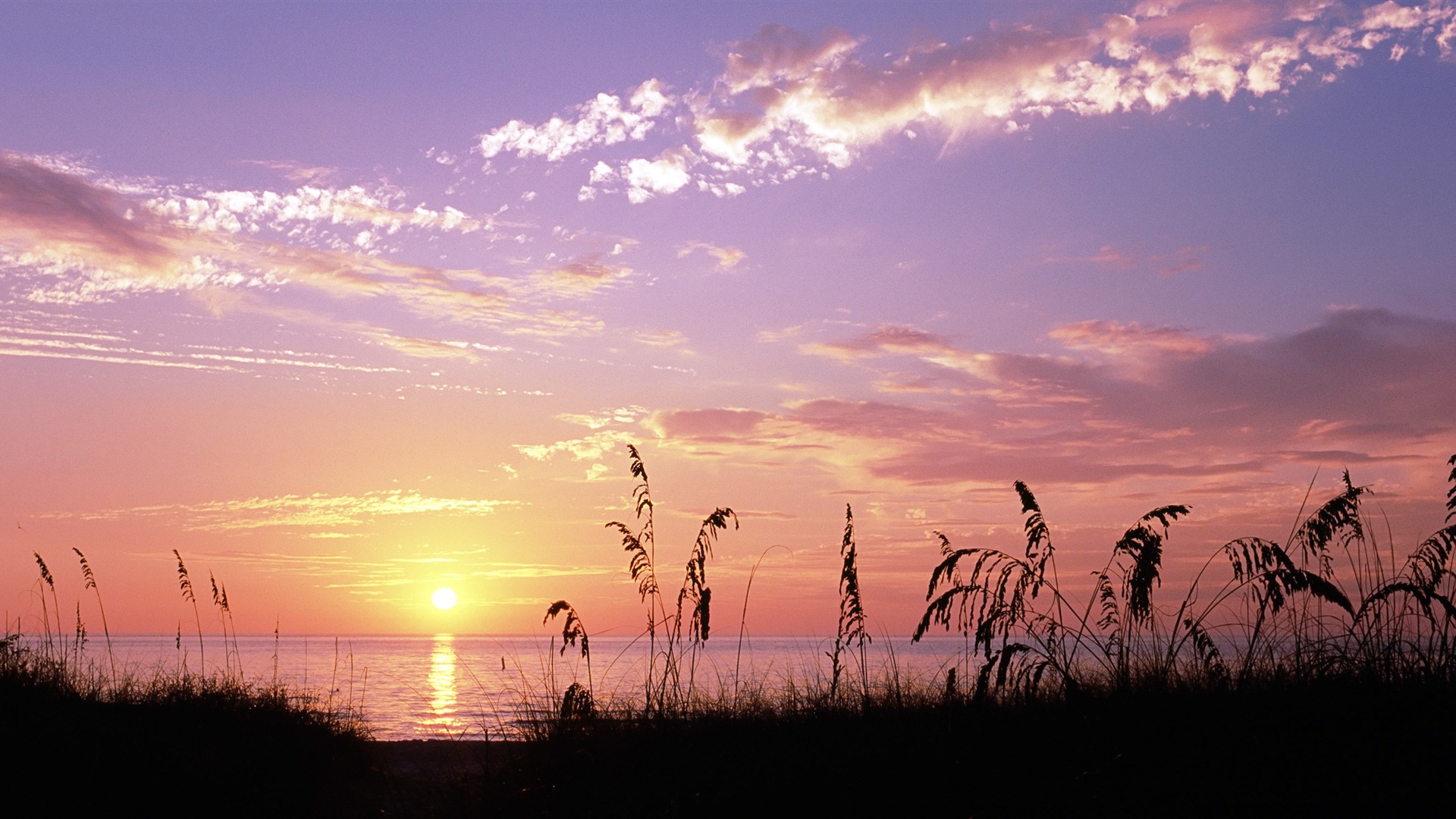 Windows 8の公式壁紙パノラマ、都市の景観、橋、ホライゾン #21 - 1920x1080