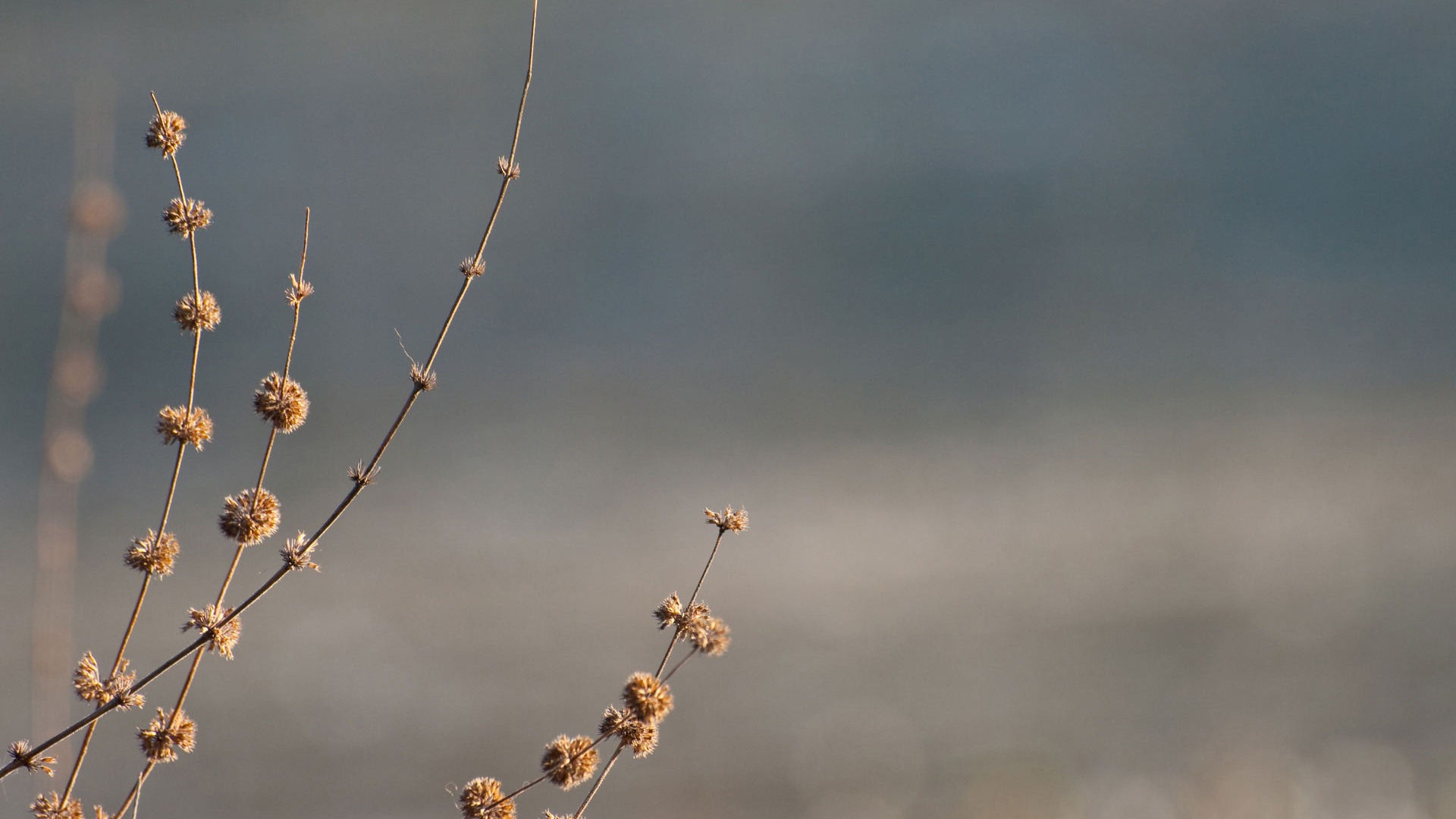 우분투 리눅스 시스템 2012 HD 배경 화면 #41 - 1920x1080