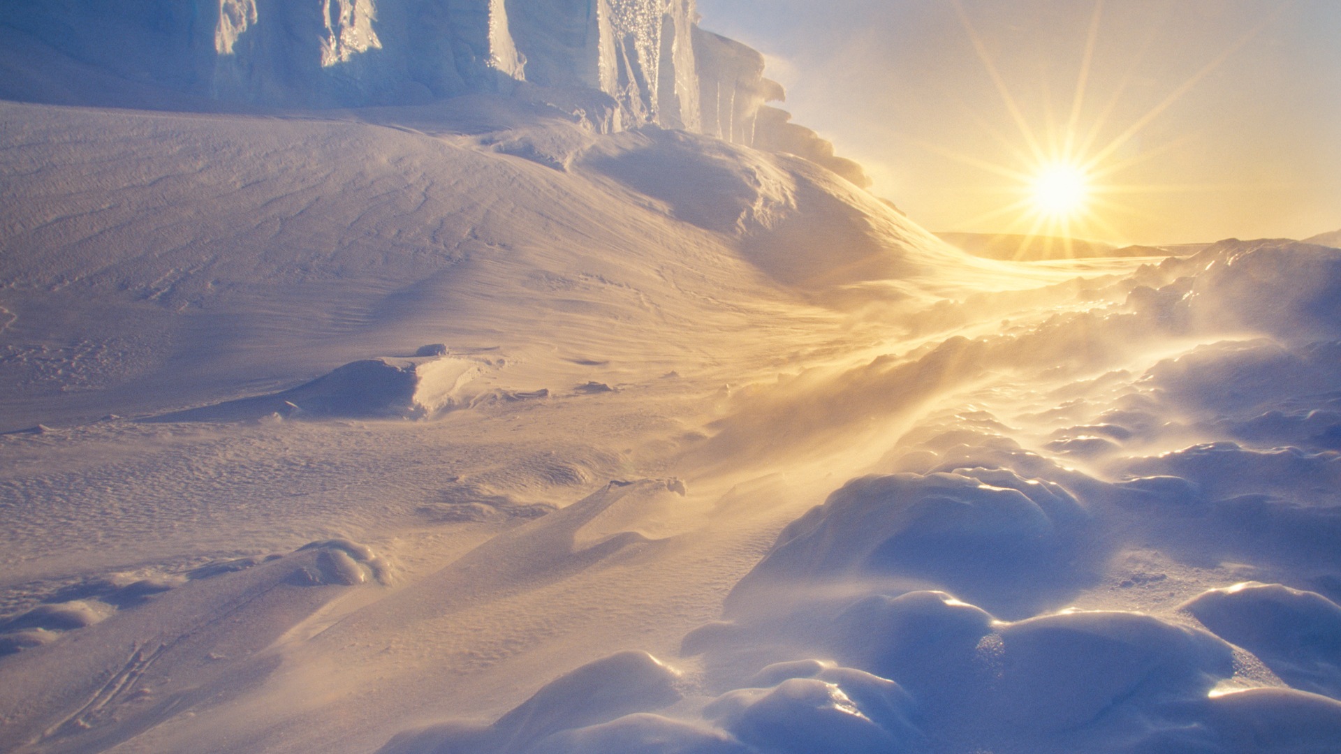 Windows 8 壁紙：南極洲，冰雪風景，南極企鵝 #9 - 1920x1080