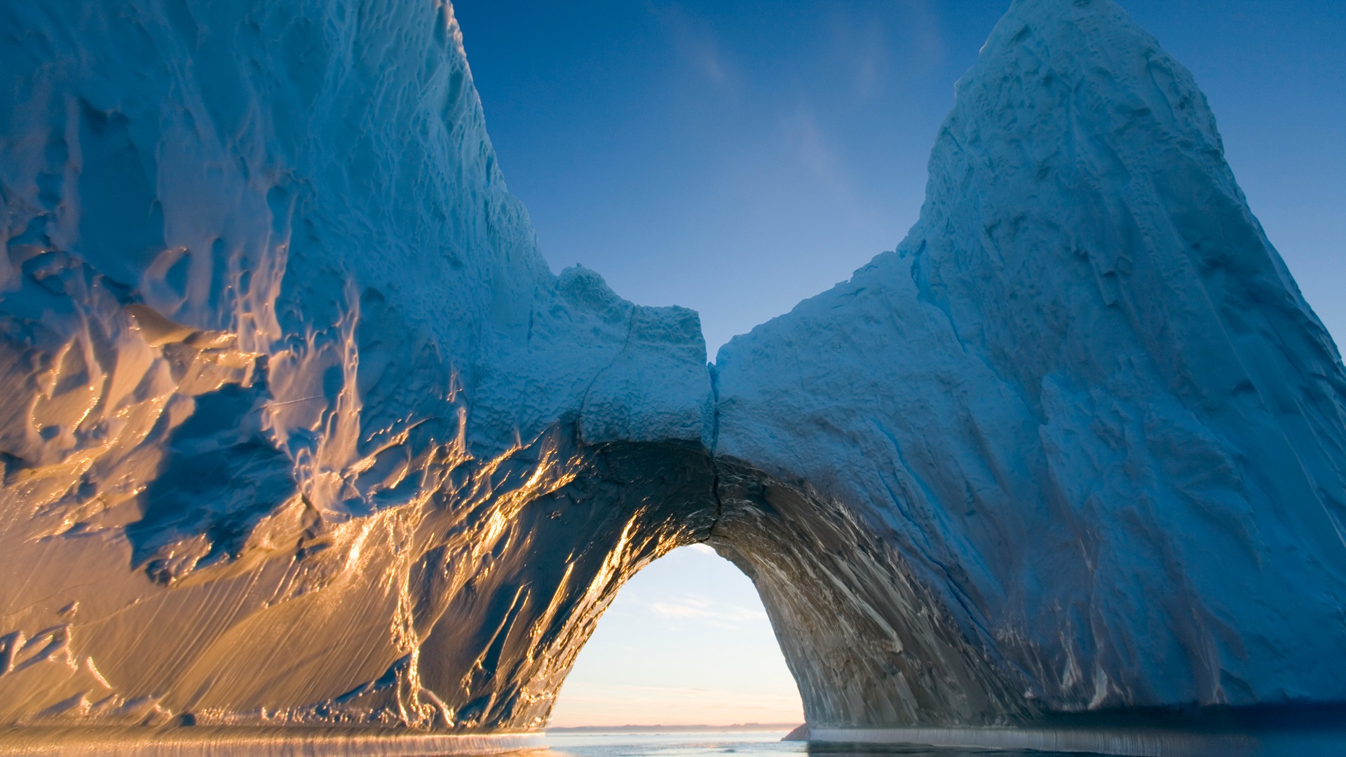 Fonds d'écran Windows 8: l'Arctique, le paysage de nature écologique, animaux arctiques #3 - 1920x1080