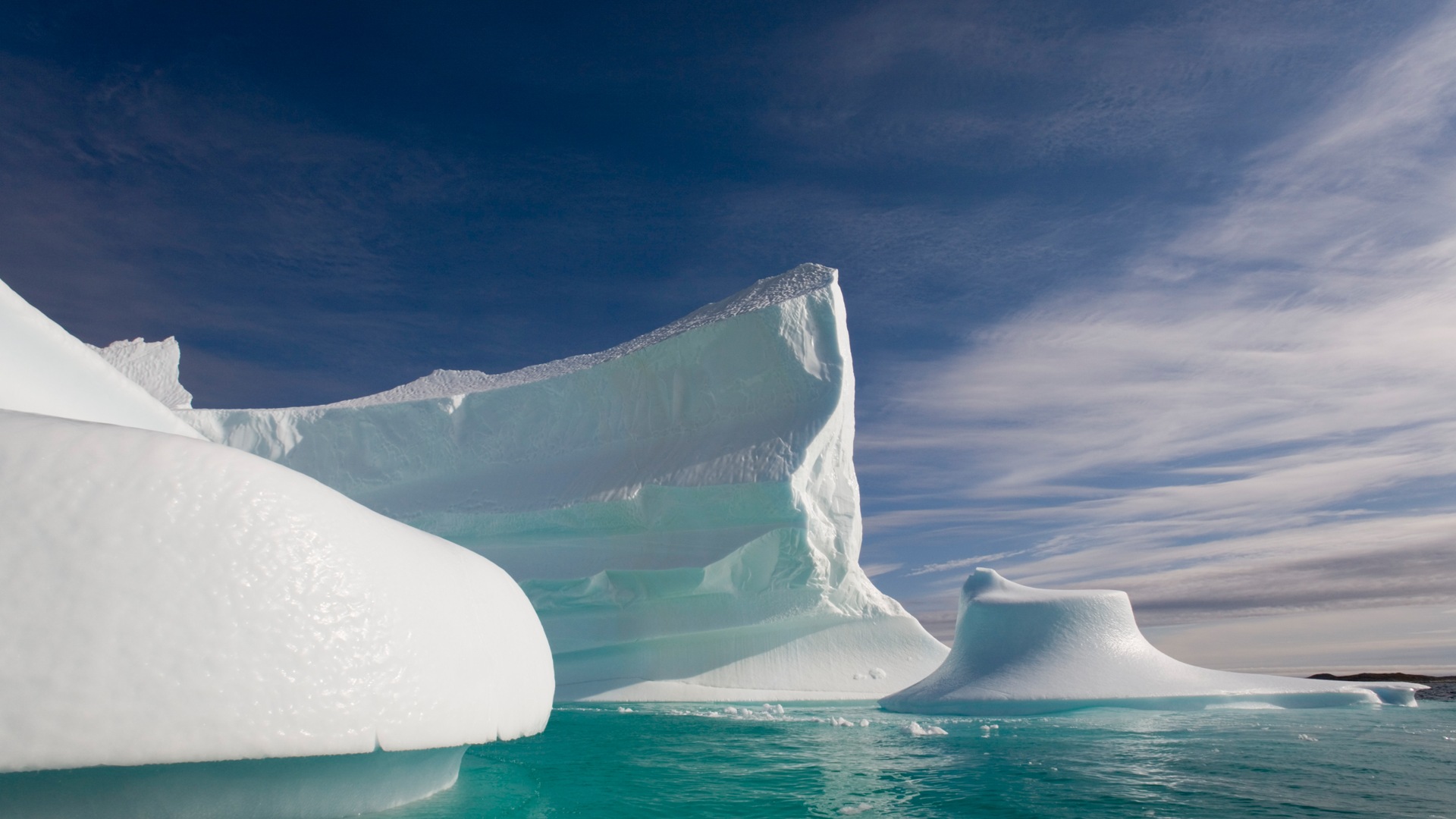 Windows 8 Wallpapers: Arctic, the nature ecological landscape, arctic animals #14 - 1920x1080