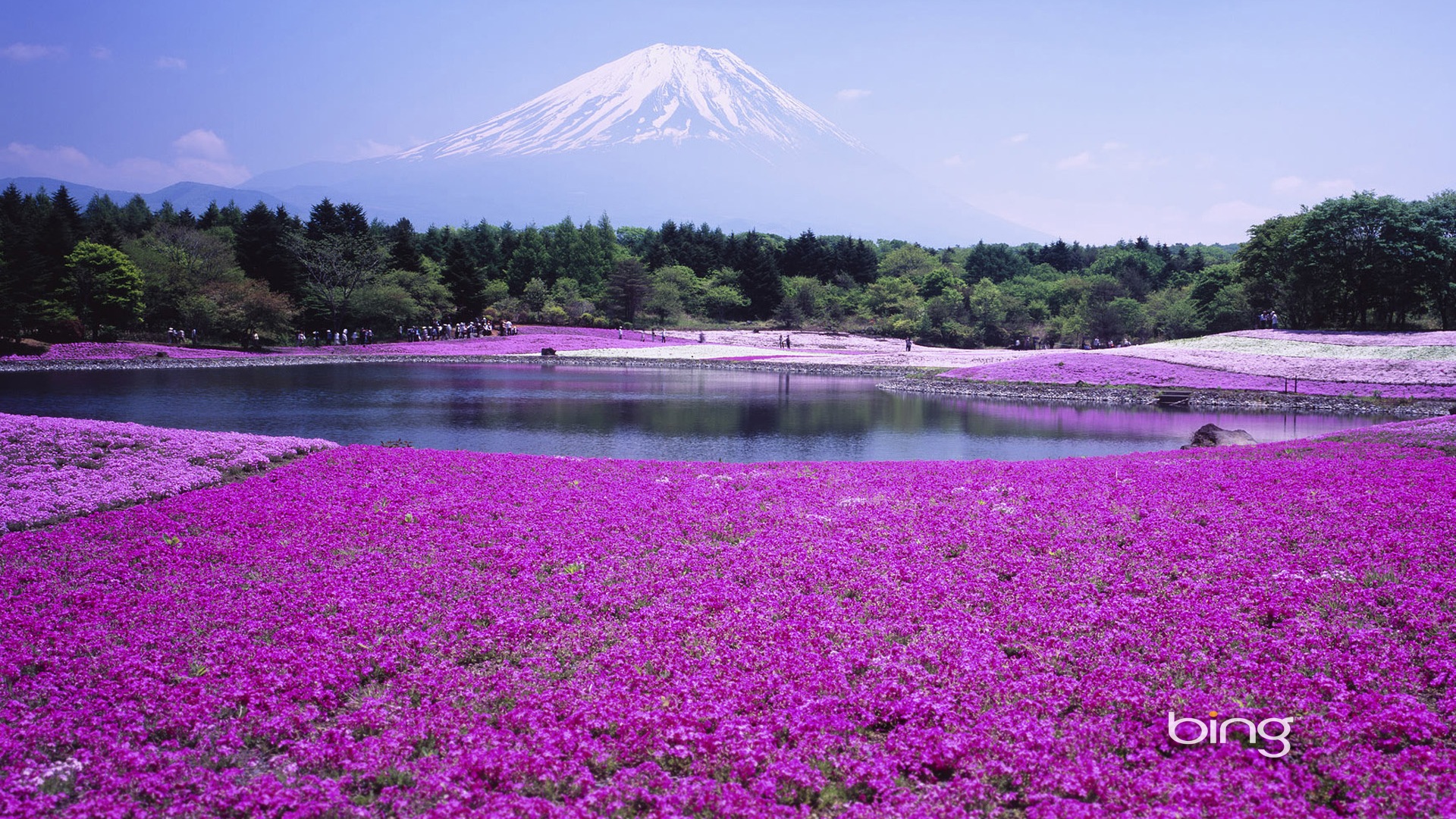 Microsoft Bing écran HD: Japonais papier peint thème du paysage #11 - 1920x1080