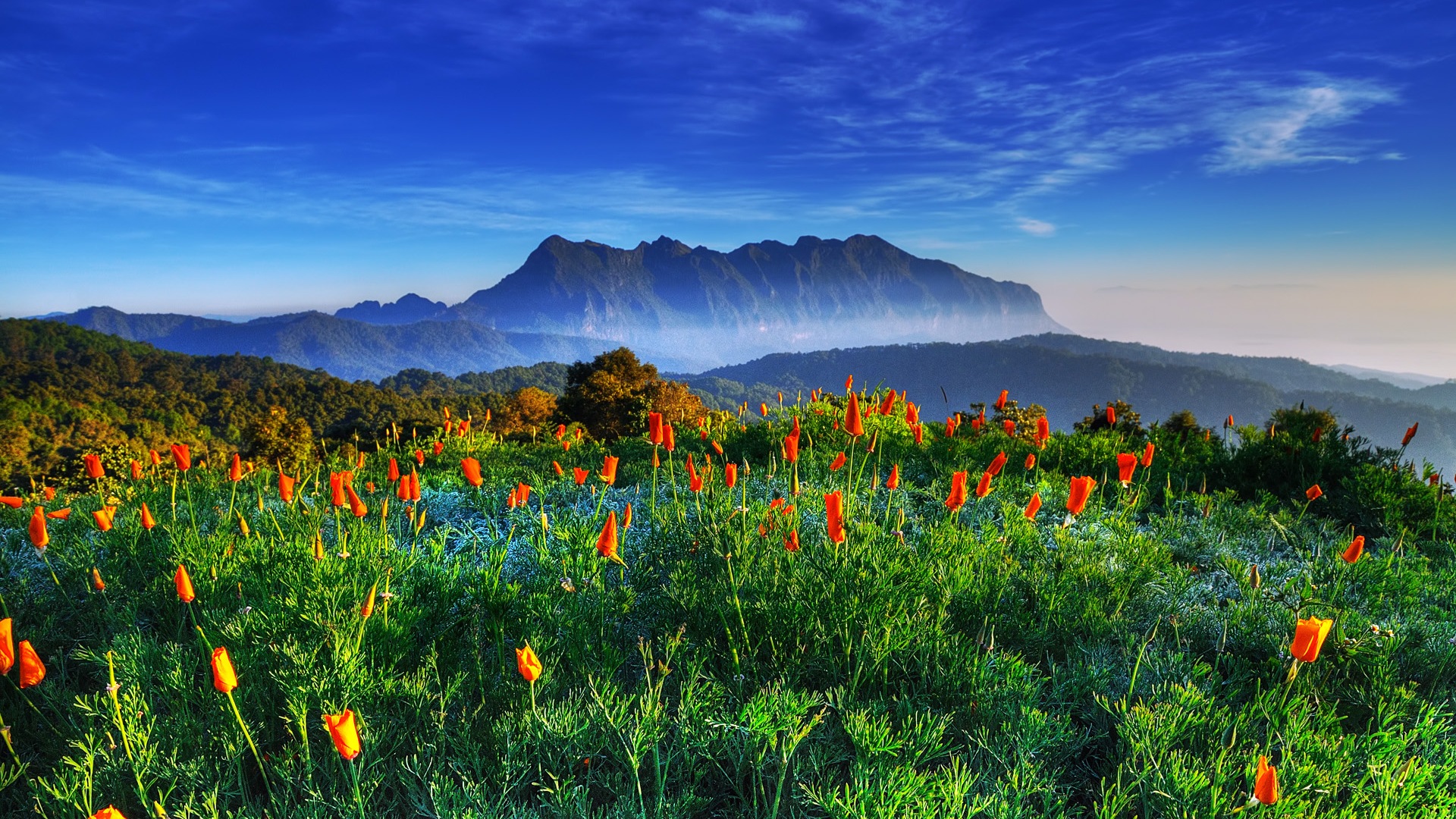 Windows 8 theme wallpaper: beautiful scenery in Thailand #1 - 1920x1080