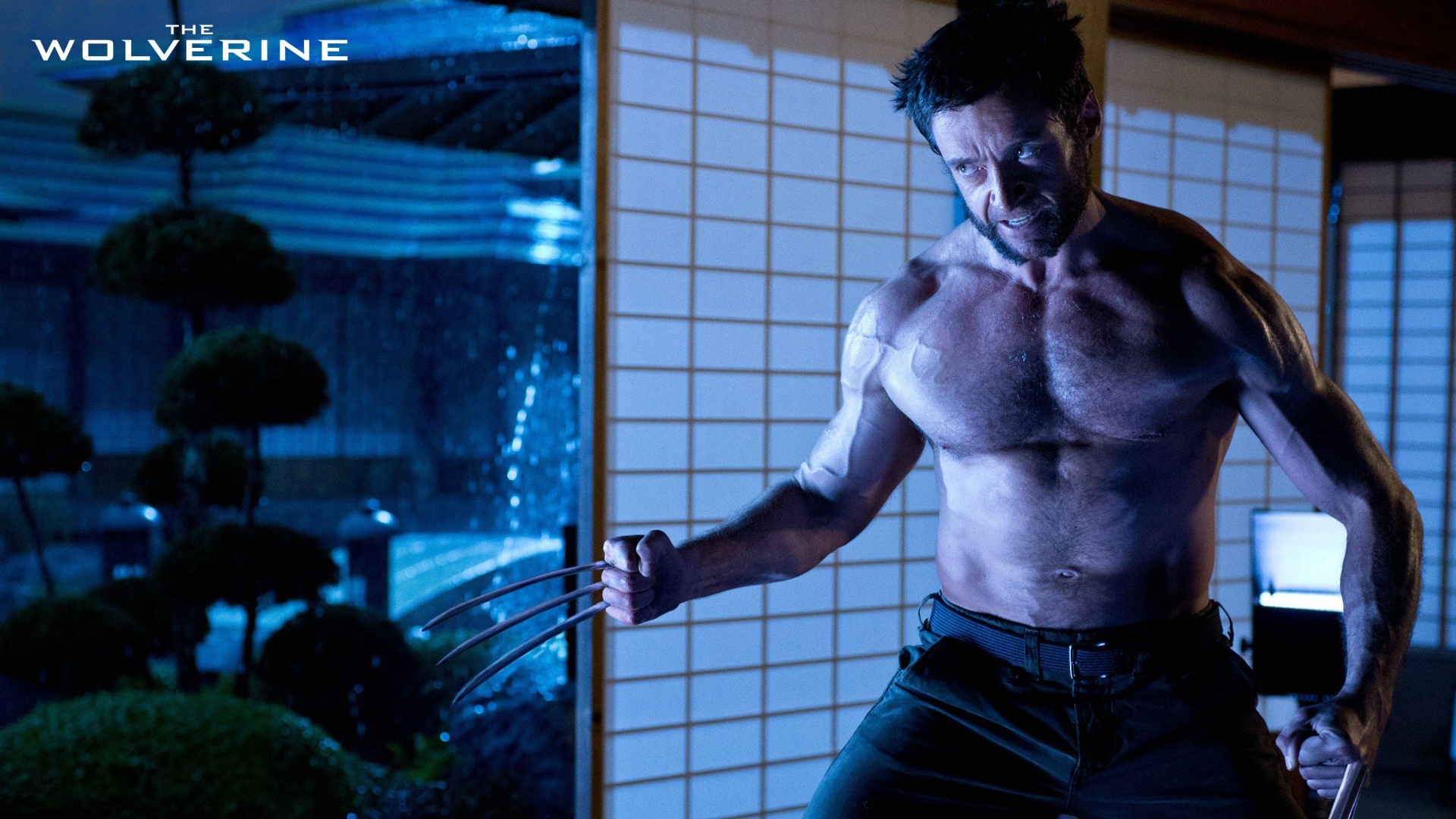 The Wolverine 2013 金剛狼2 高清壁紙 #6 - 1920x1080