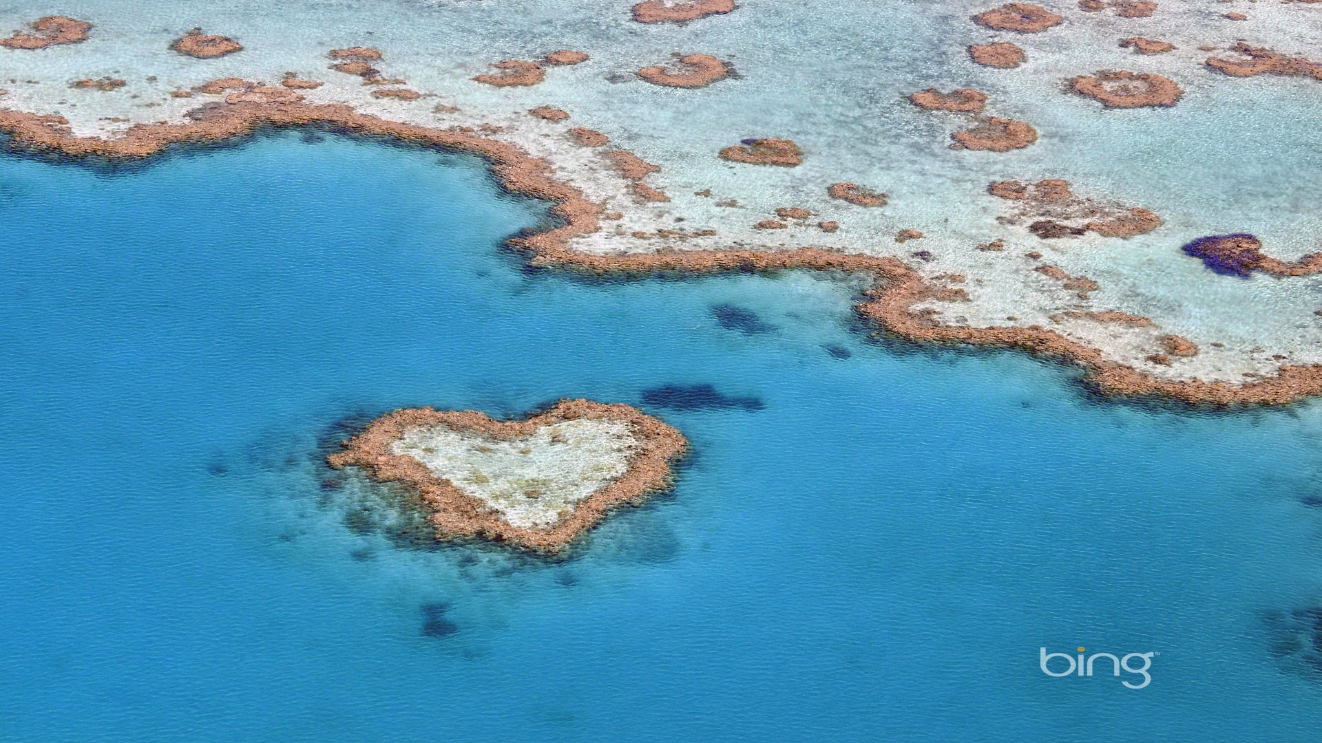 Microsoft Bing thème fonds d'écran HD, l'Australie, ville, paysage, animaux #12 - 1920x1080