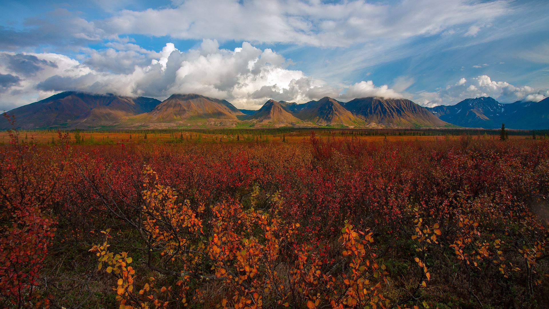 Denali National Park HD Tapety #9 - 1920x1080