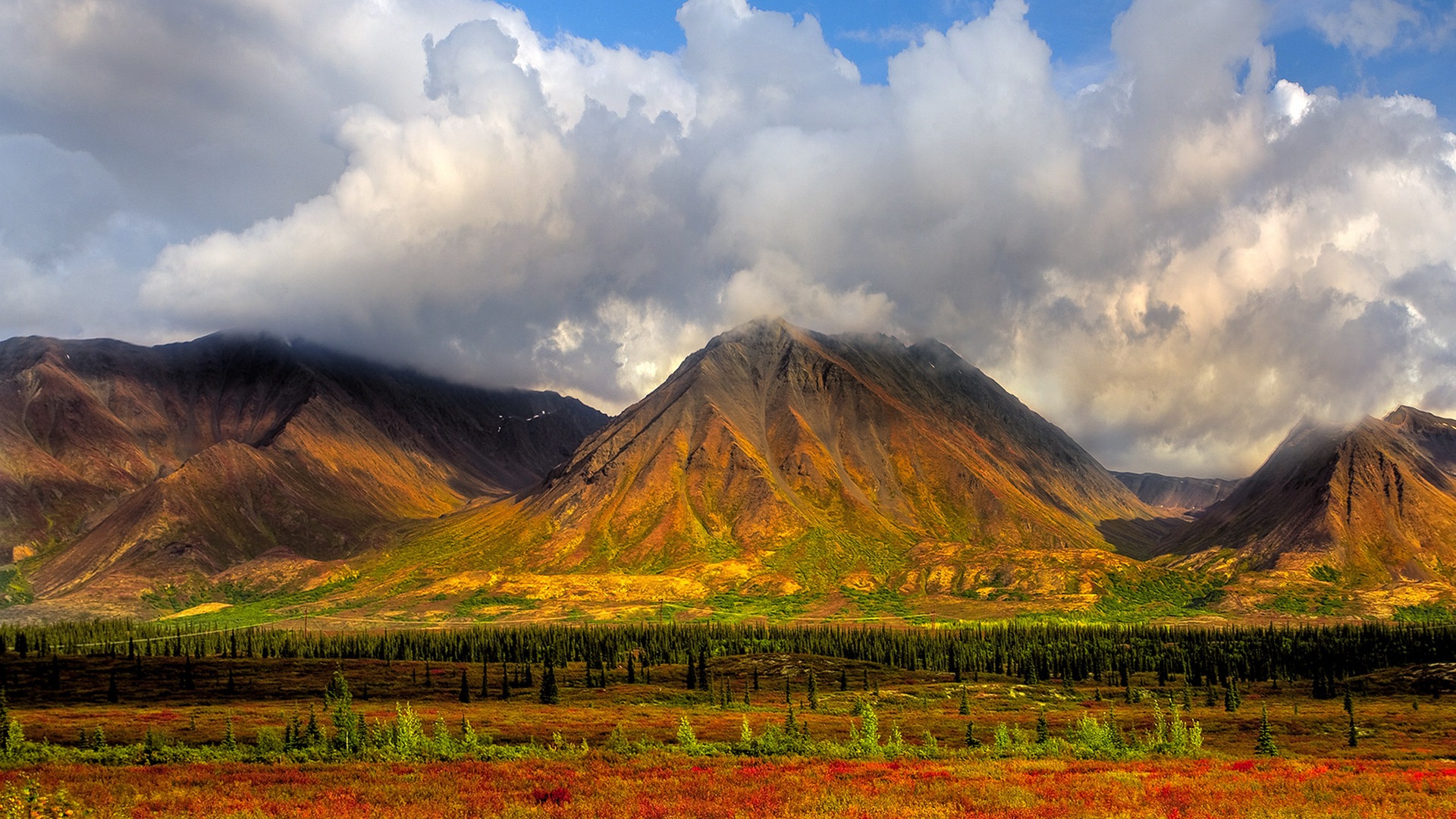 Denali National Park 迪納利國家公園 高清風景壁紙 #16 - 1920x1080