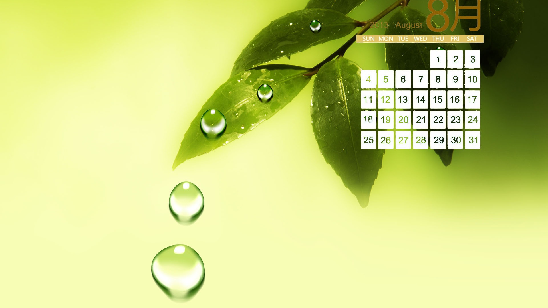 August 2013 calendar wallpaper (1) #15 - 1920x1080