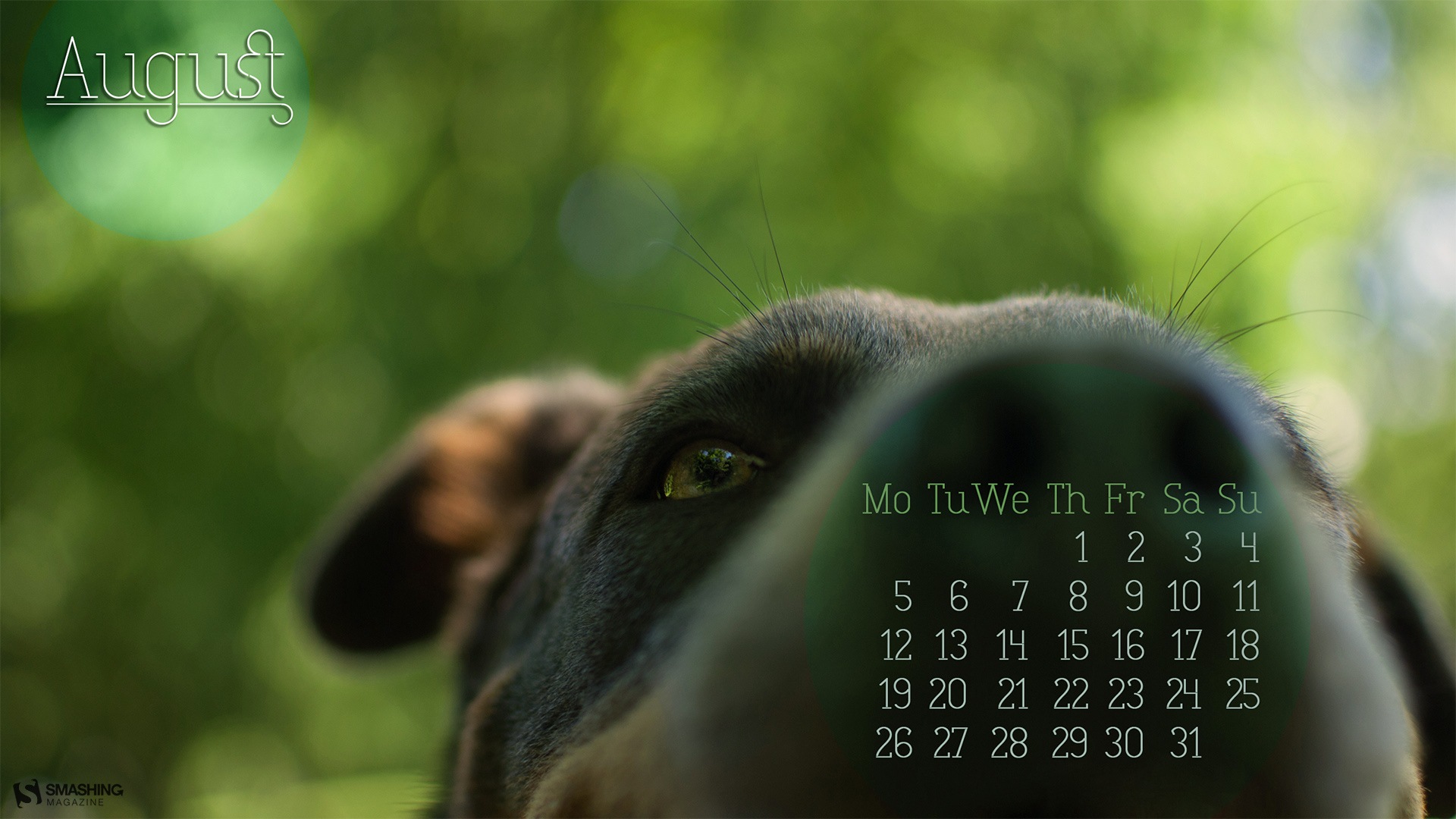 2013年8月 月曆壁紙(二) #15 - 1920x1080