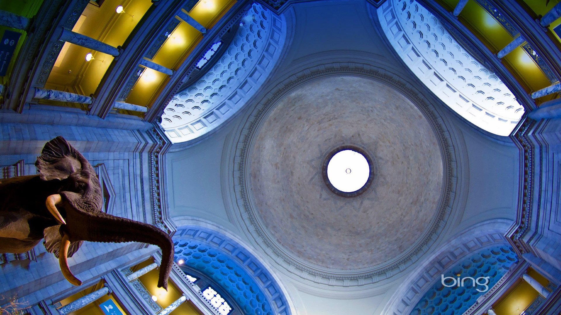 2013 Bing 必應官方動物和風景高清壁紙 #24 - 1920x1080