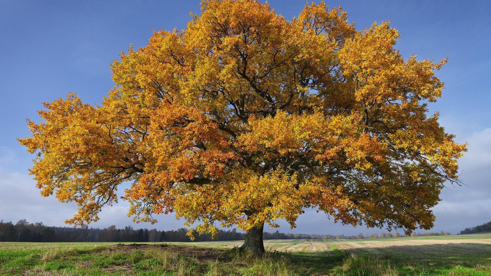 Sweden seasons natural beauty HD wallpapers #6 - 1920x1080