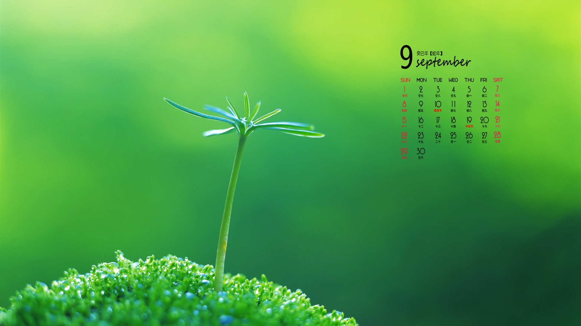 2013年9月 月曆壁紙(一) #5 - 1920x1080