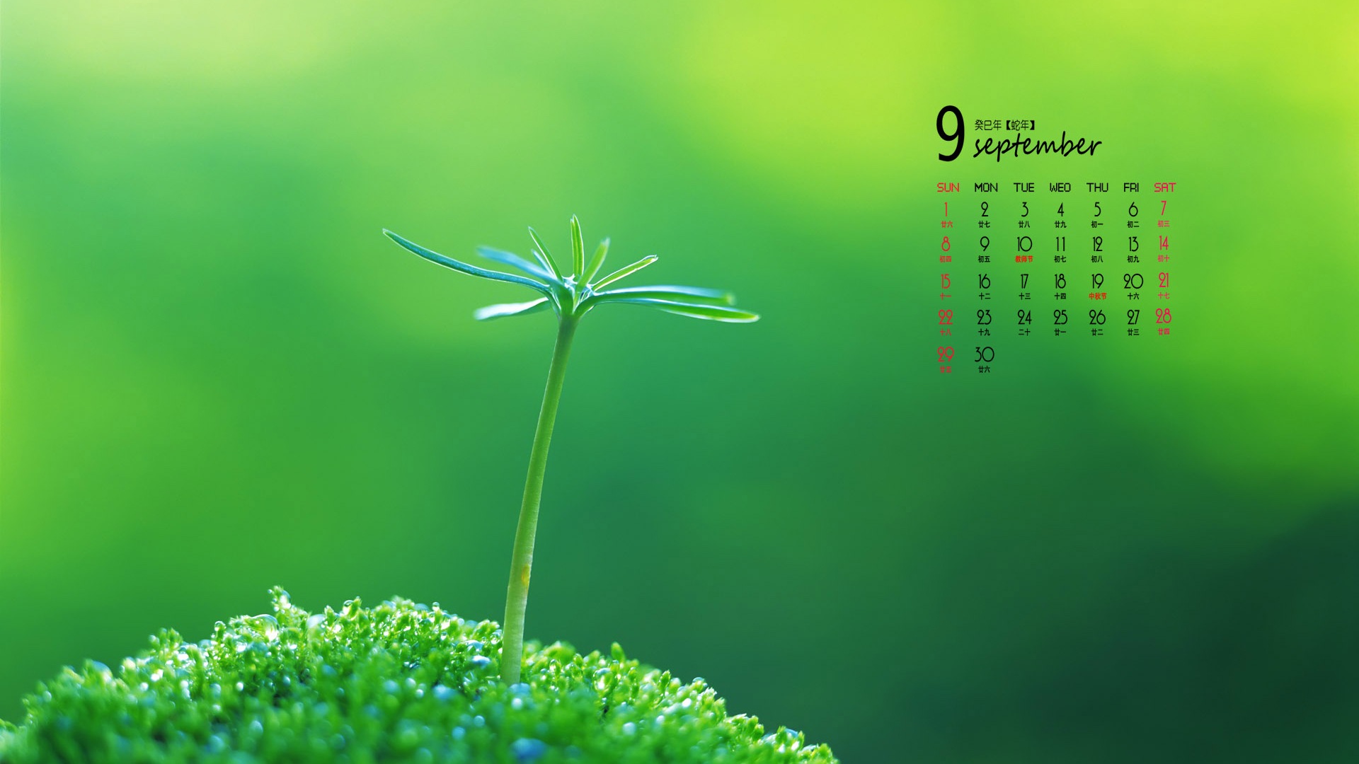 September 2013 Kalender Wallpaper (1) #5 - 1920x1080