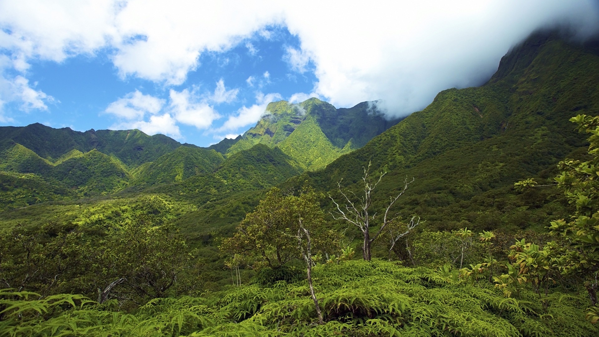 Windows 8 theme wallpaper: Hawaiian scenery #7 - 1920x1080