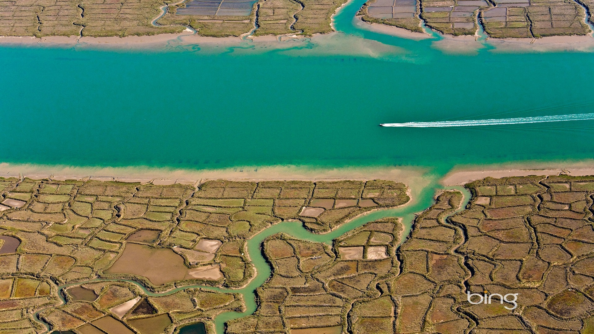 2013 Bing 必应秋季风景、动物、城市高清壁纸17 - 1920x1080