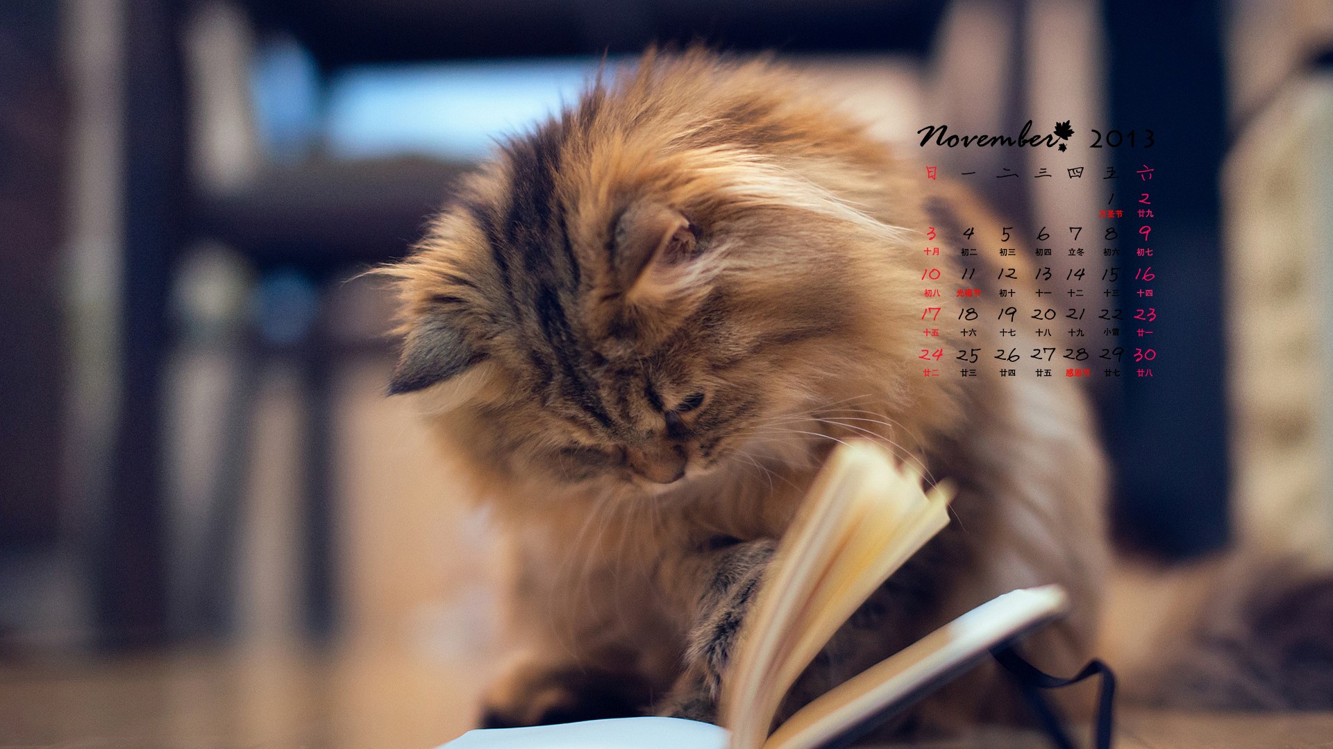 2013年11月 月曆壁紙(一) #3 - 1920x1080