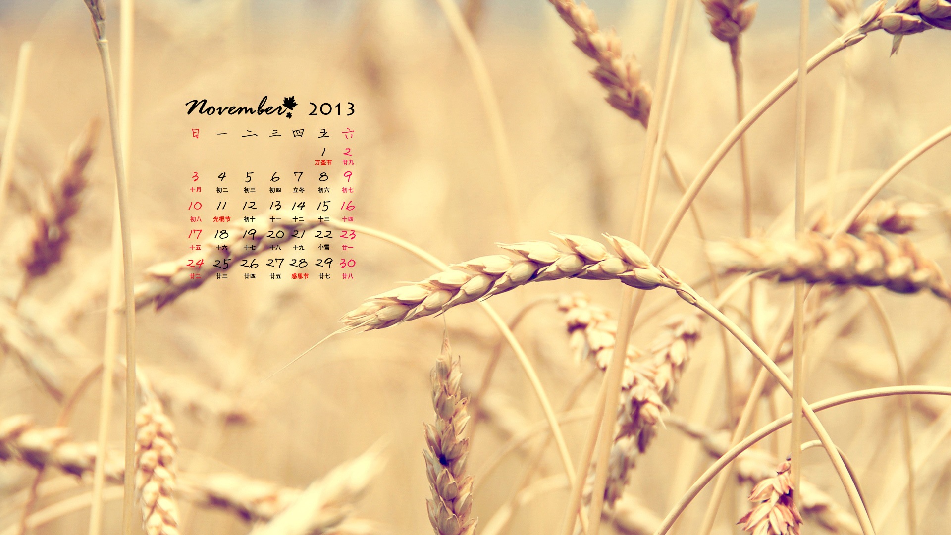 November 2013 Calendar wallpaper (1) #16 - 1920x1080