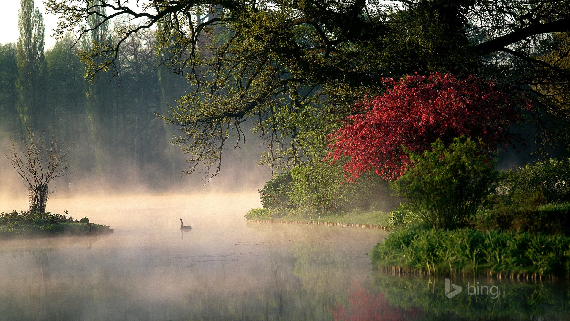 Microsoft bing November exquisite HD wallpaper #25 - 1920x1080