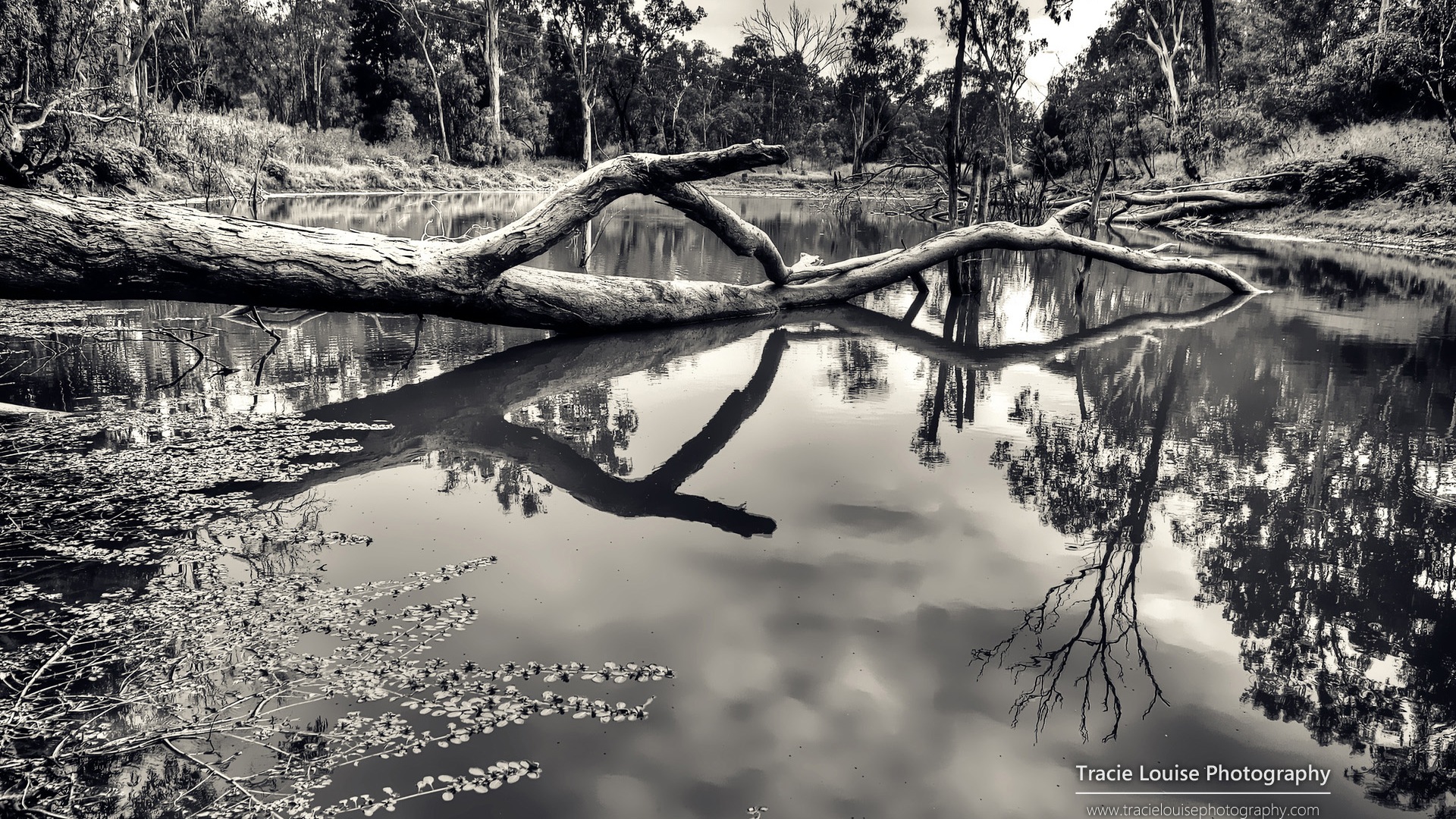 Queensland, Australia, hermosos paisajes, fondos de pantalla de Windows 8 tema de HD #11 - 1920x1080