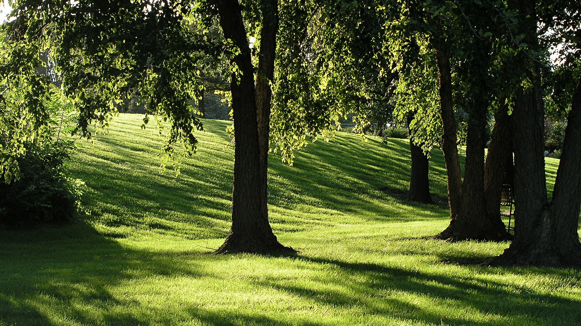 Schöne Berge, See, Wald, Windows 8 Theme HD Wallpaper #15 - 1920x1080