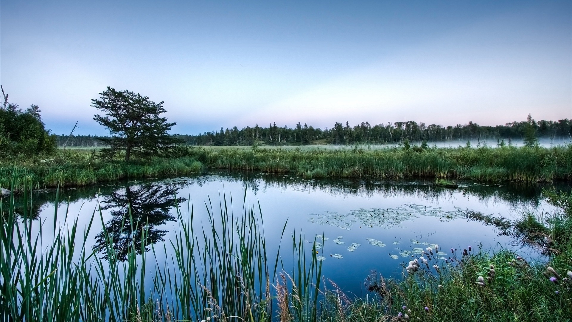 Réflexion dans le fond d'un paysage naturel de l'eau #11 - 1920x1080