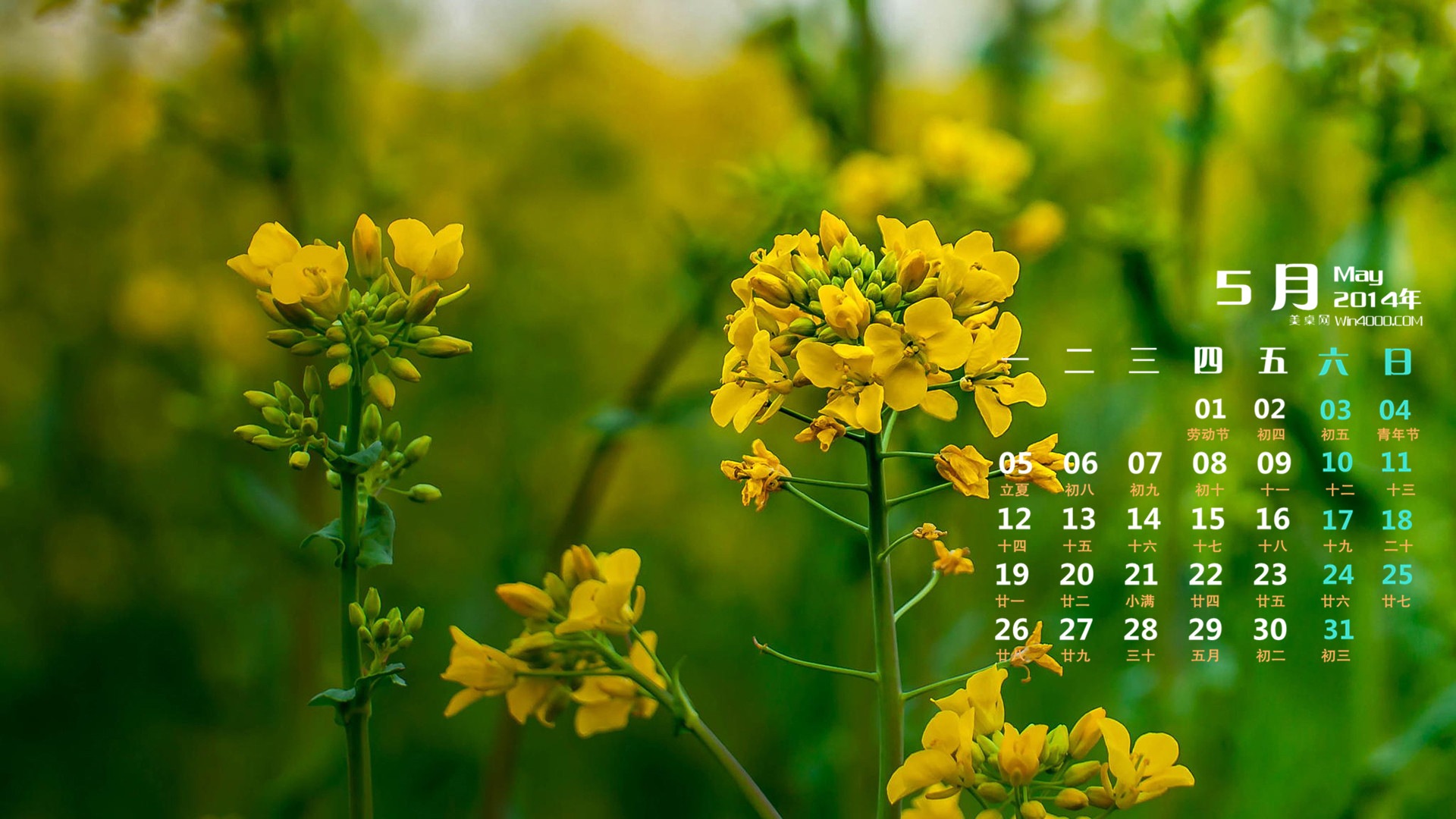 May 2014 calendar wallpaper (1) #5 - 1920x1080