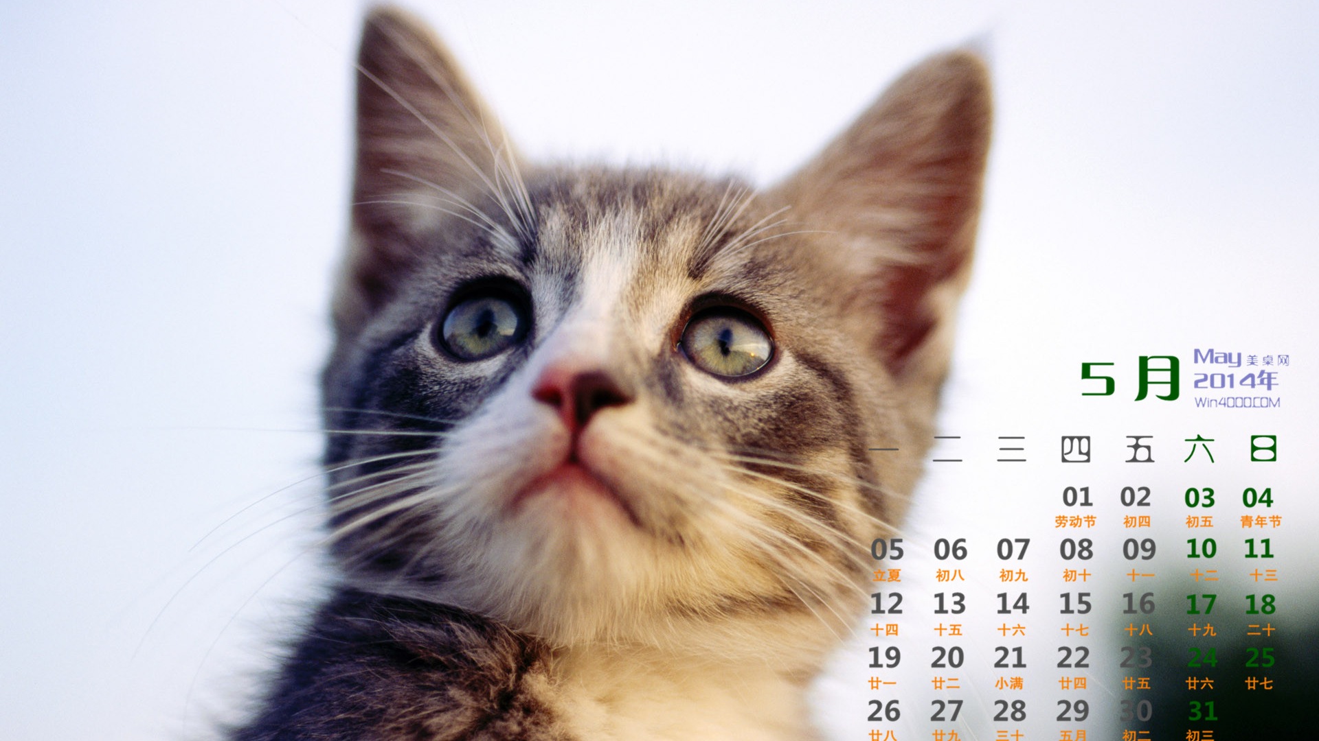 2014年5月 月曆壁紙(一) #13 - 1920x1080