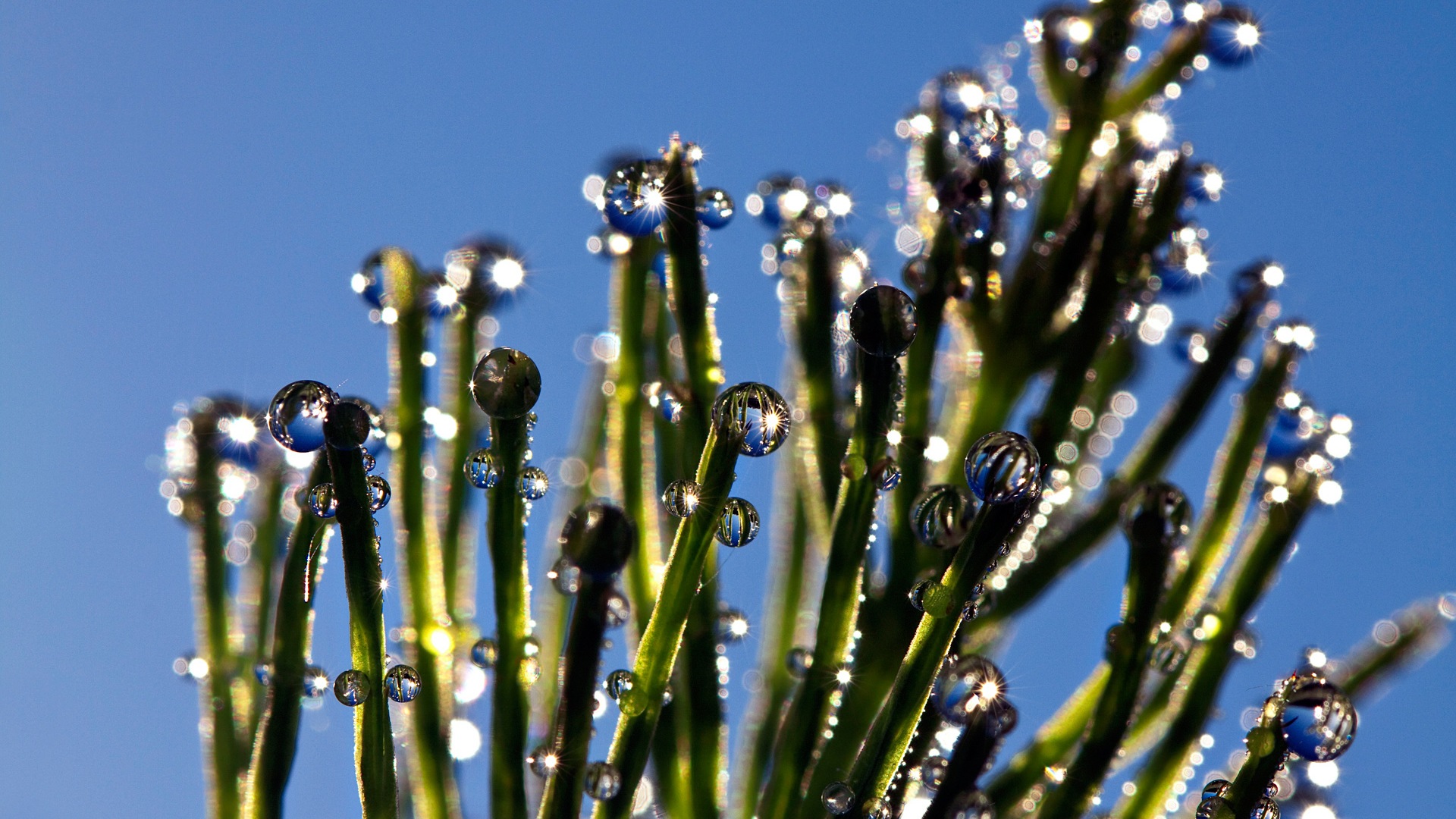 El agua, fuente de vida, fondos de pantalla de Windows 8 tema de HD #5 - 1920x1080