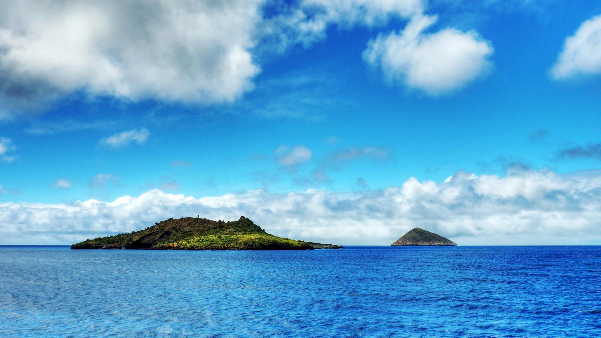 Water, the source of life, Windows 8 theme HD wallpapers #8 - 1920x1080