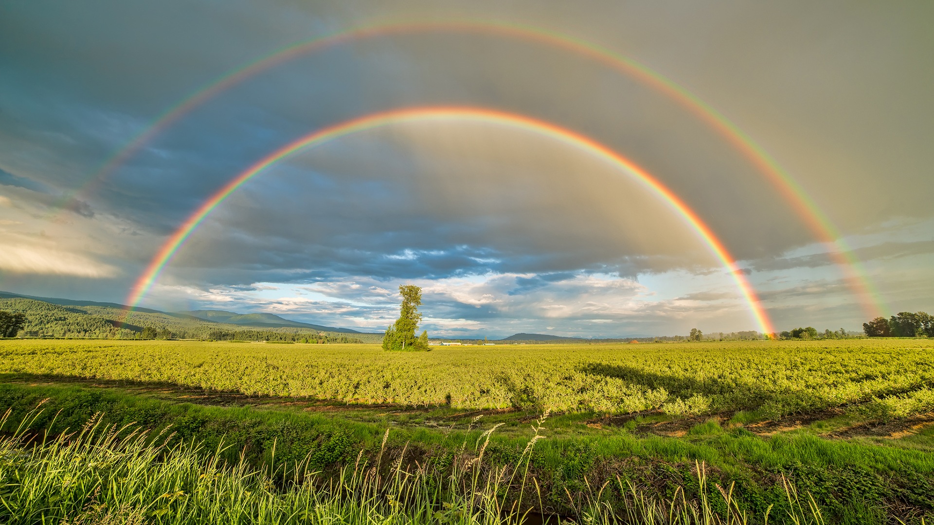 Schöner Regenbogen Landschaft HD Wallpaper #1 - 1920x1080