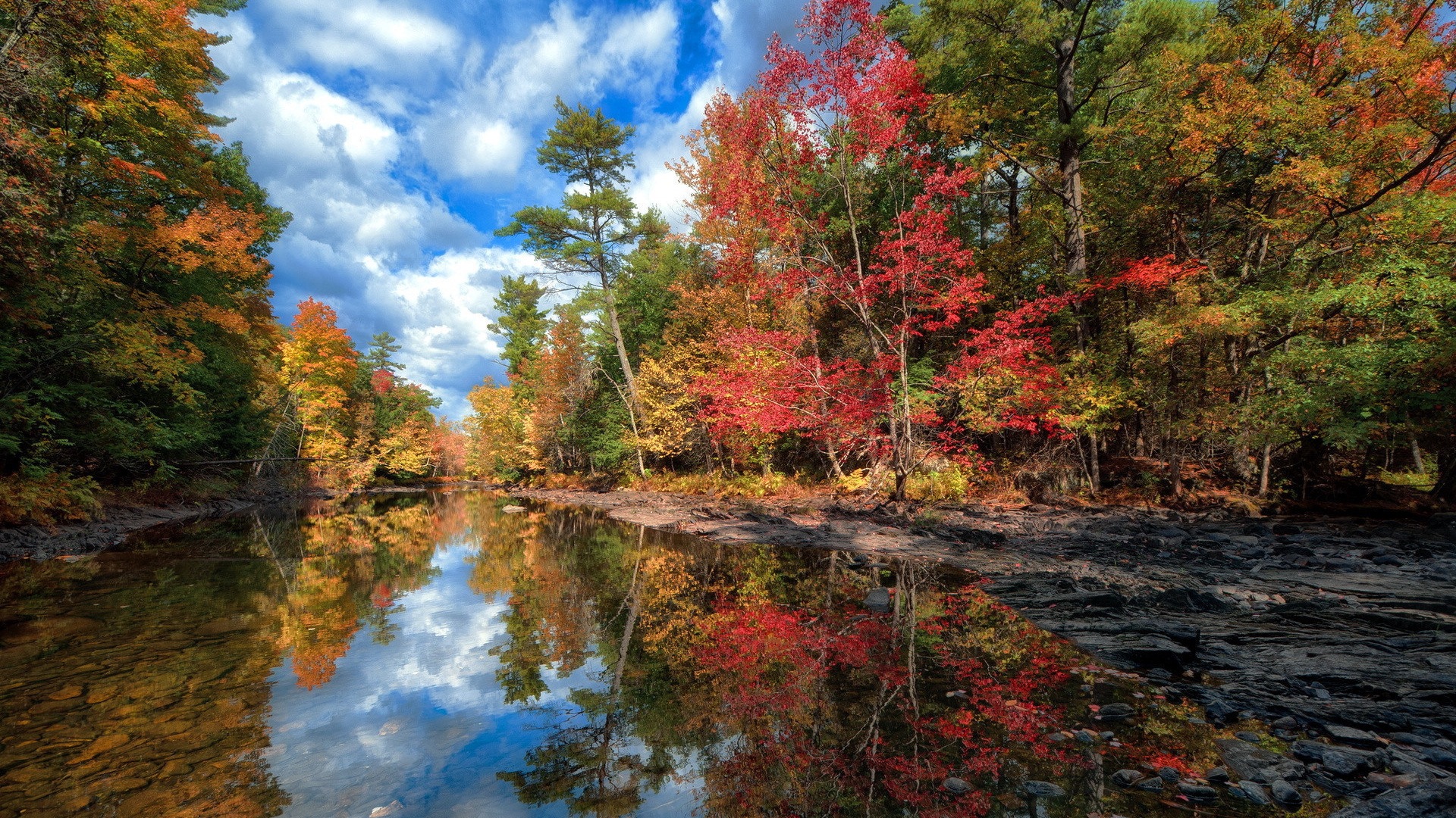 Voda a stromy v podzimních HD tapety na plochu #4 - 1920x1080