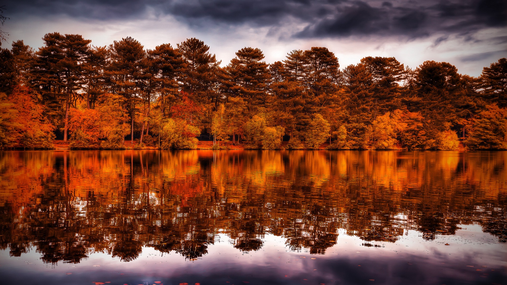 Voda a stromy v podzimních HD tapety na plochu #13 - 1920x1080