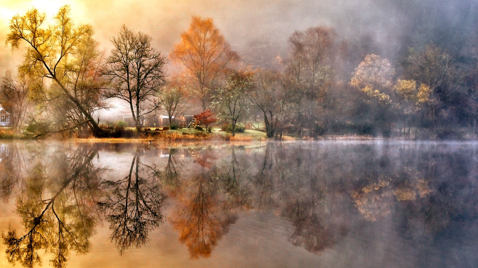 Foggy autumn leaves and trees HD wallpapers #15 - 1920x1080