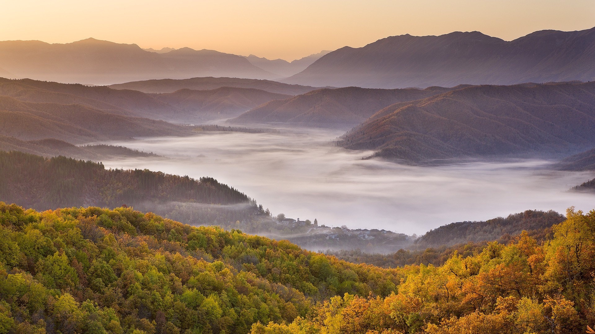 雾的秋天，红叶树木，高清壁纸16 - 1920x1080