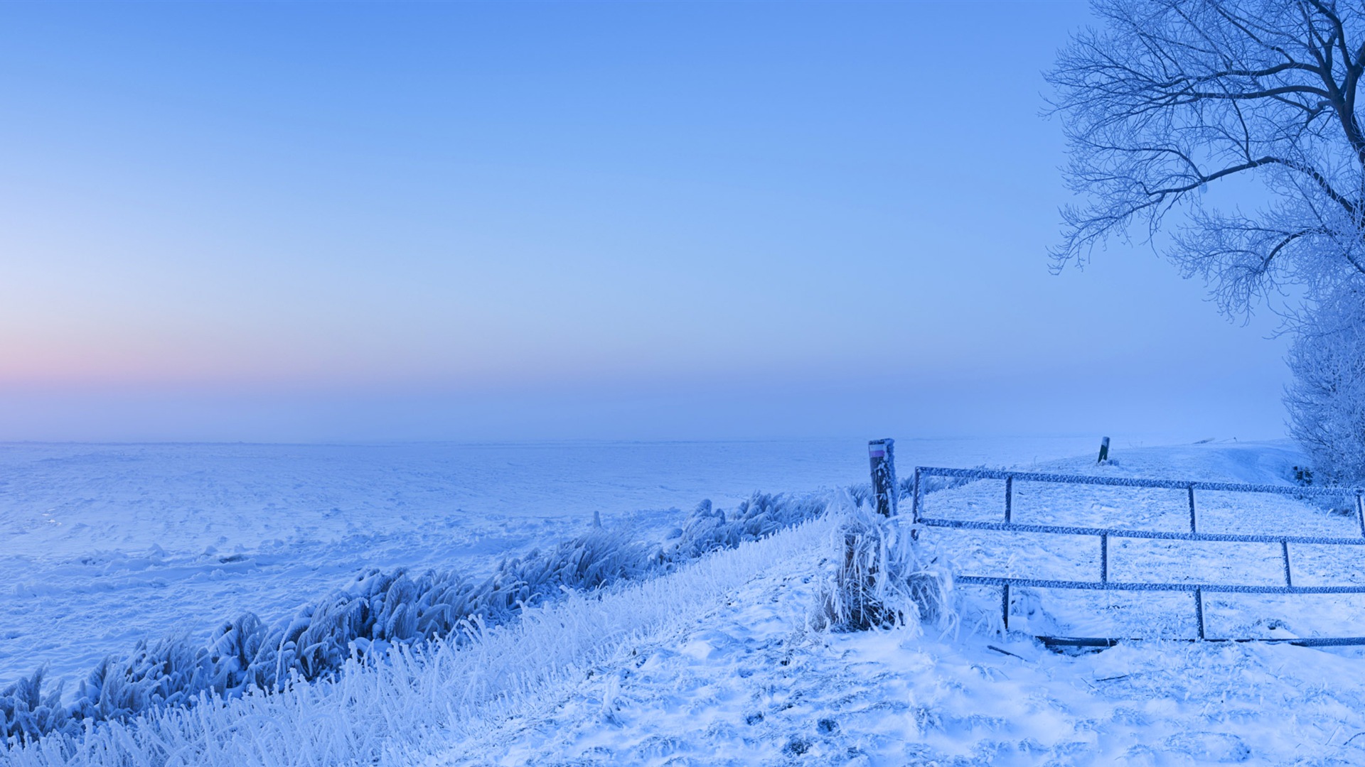 寒冷冬天美麗的雪景，Windows 8 全景寬屏壁紙 #2 - 1920x1080