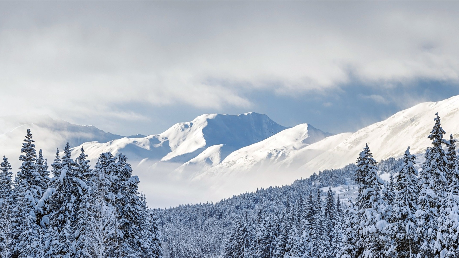 Belle neige froide d'hiver, de Windows 8 fonds d'écran widescreen panoramique #9 - 1920x1080