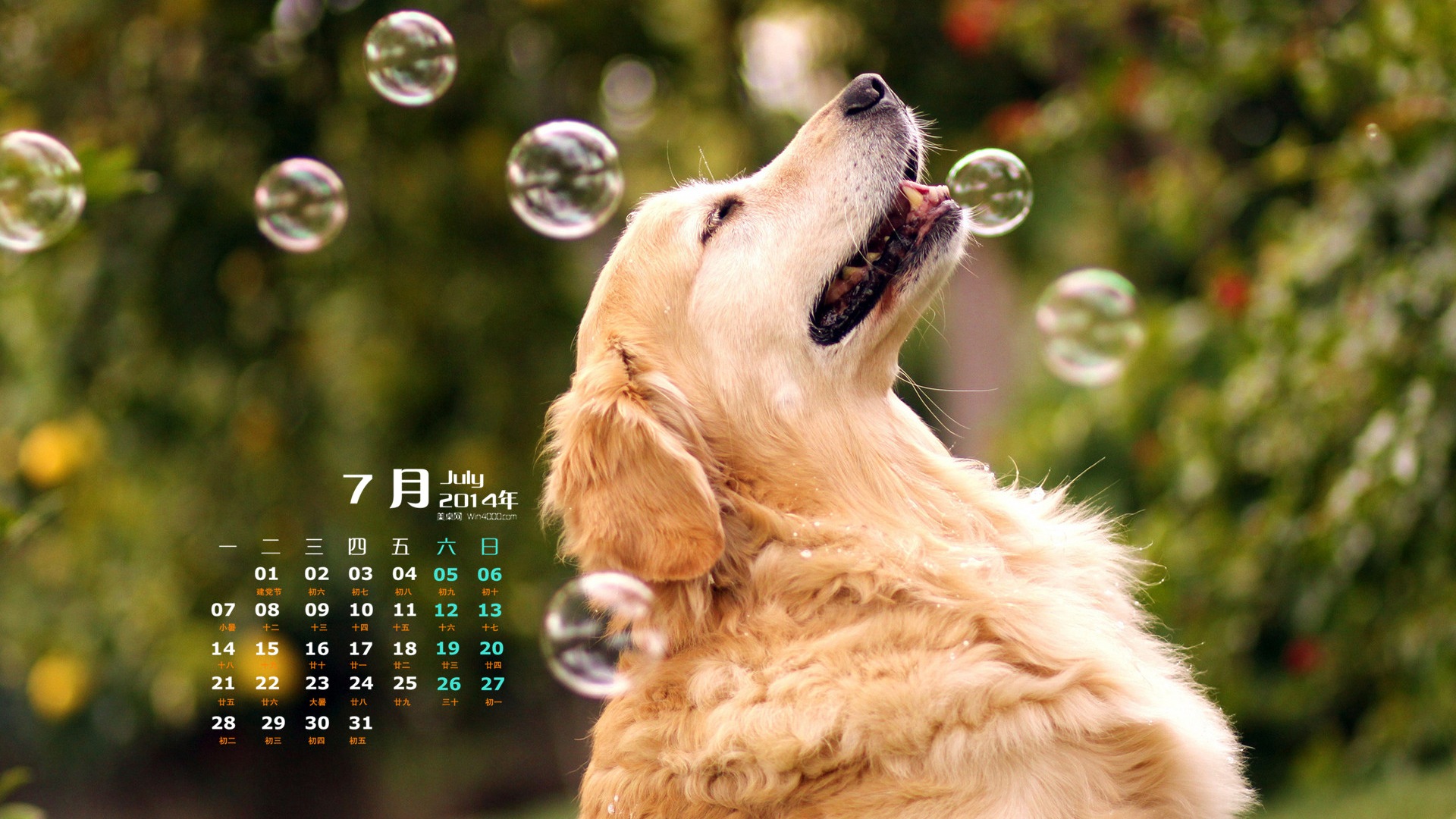 2014年7月 月曆壁紙(二) #11 - 1920x1080