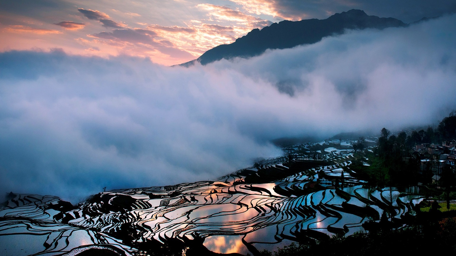 朦朧的清晨風景，Windows 8 主題壁紙 #5 - 1920x1080